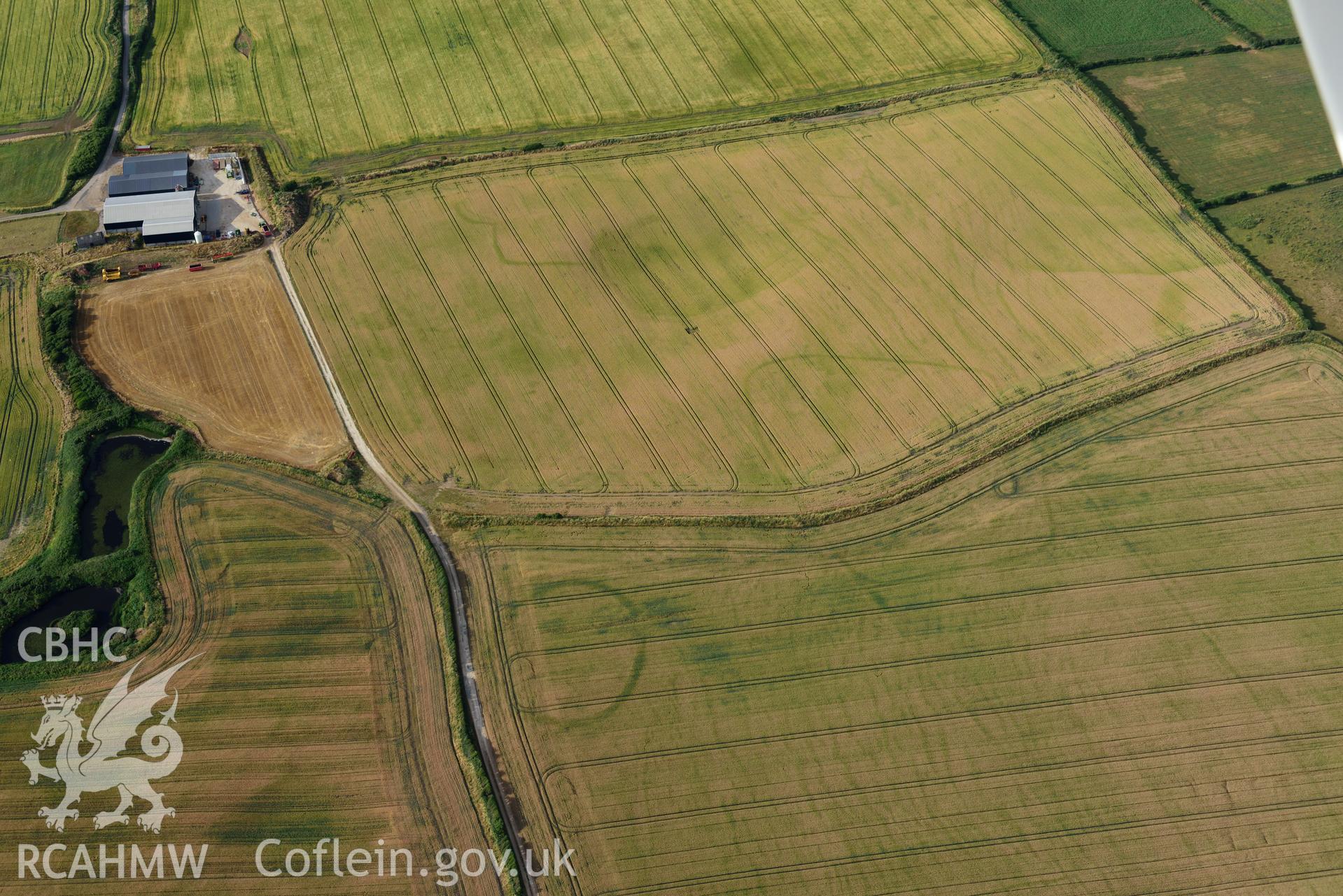 Royal Commission aerial photography of Paviland Manor cropmark complex, south-west circular enclosure, taken on 17th July 2018 during the 2018 drought.