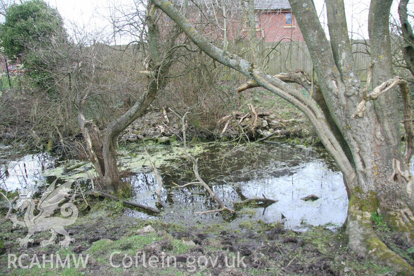 'Pond within field's north-eastern boundary (looking east).' Digital colour photograph taken during site visit to land south of school lane, Penperlleni. Part of Archaeological Desk Based Assessment conducted by Iestyn Jones of Archaeology Wales, 2014.