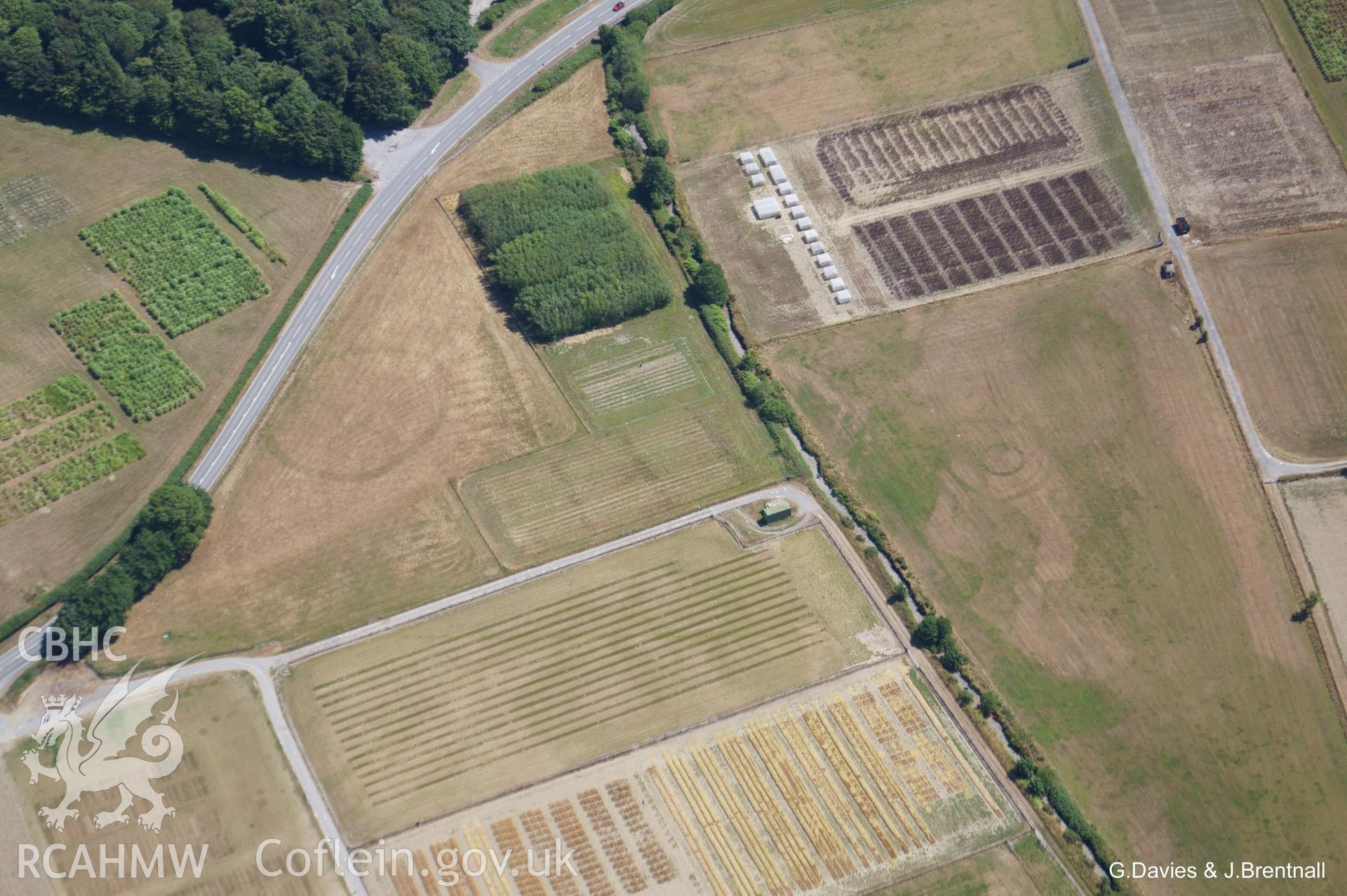 Aerial photograph of Gogerddan enclosure and surrounding cropmarks of possible interest, taken by Glyn Davies and Jonathan Brentnall on 22nd July 2018 under drought conditions.