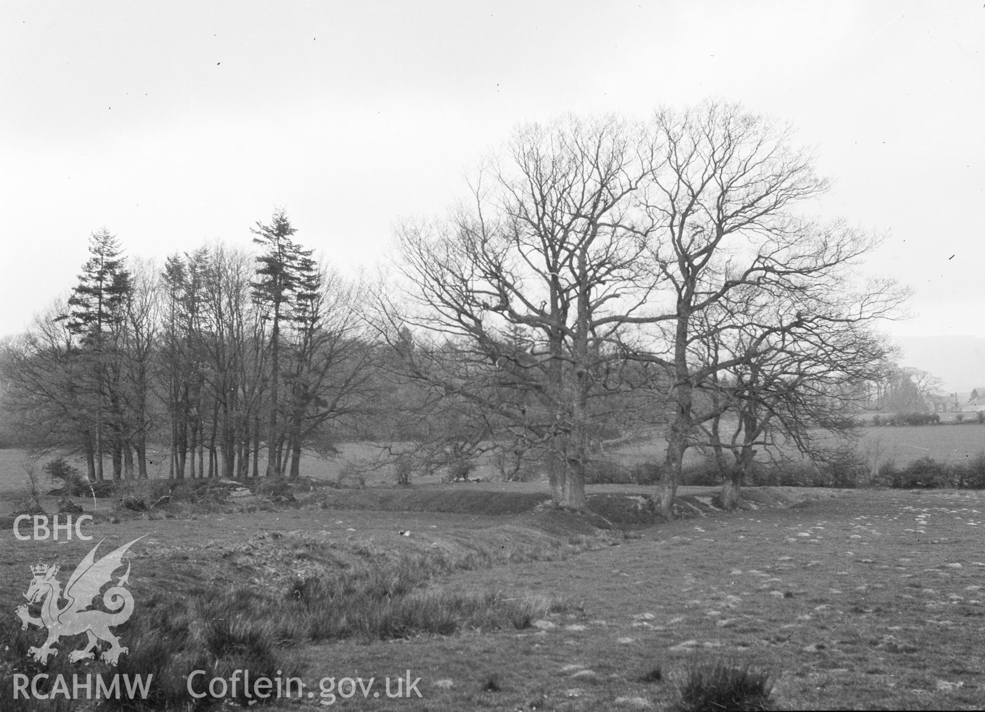 Digital copy of a nitrate negative showing Castle Nimble.