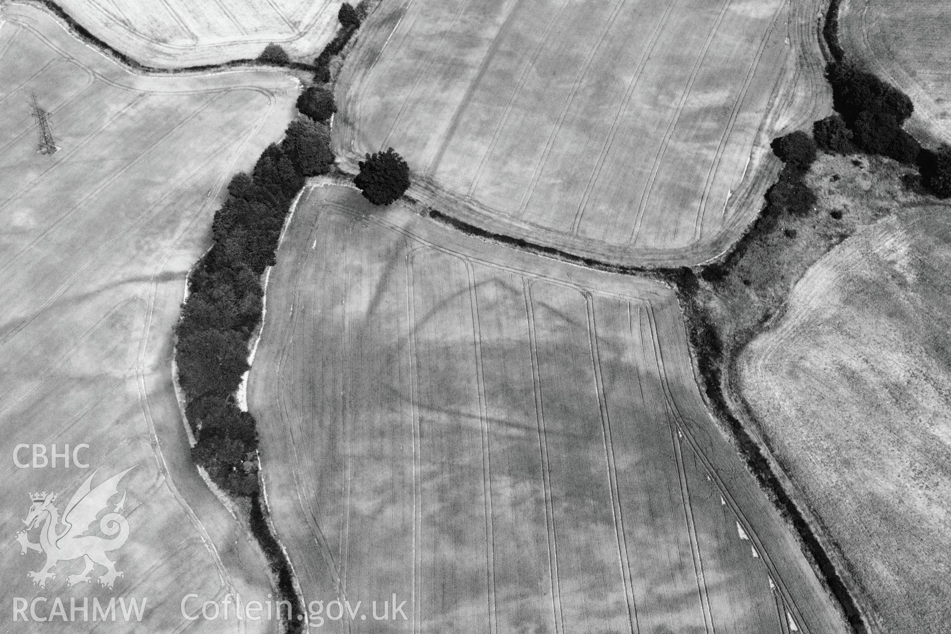 Cropmark showing the Malthouse Road defended enclosure, near Caerleon, north of Newport. Oblique aerial photograph taken during the Royal Commission?s programme of archaeological aerial reconnaissance by Toby Driver on 1st August 2013.