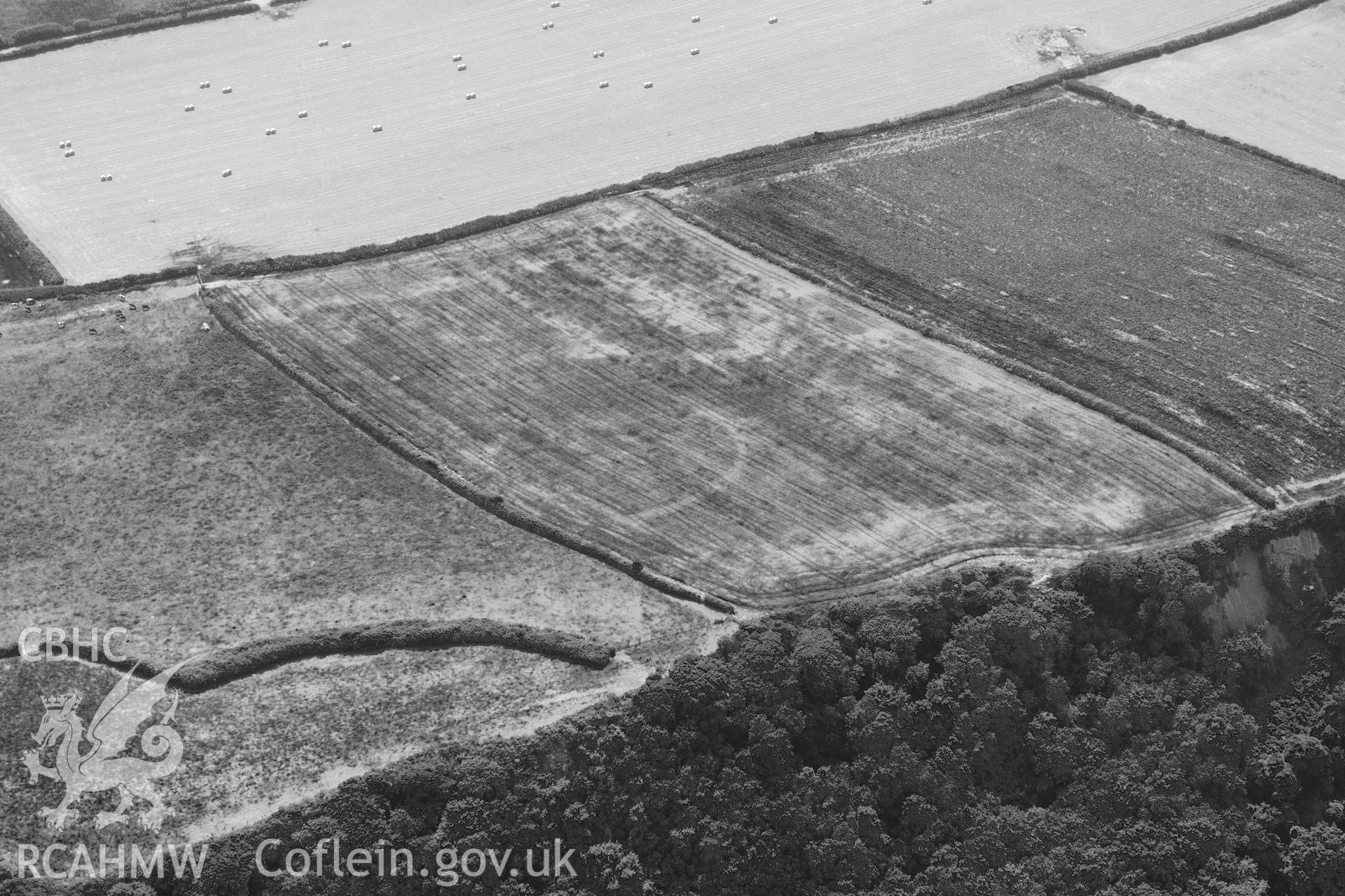 Bovehill Farm defended enclosure and Tor-Gro suggested enclosure, east of Cheriton, on the Gower Peninsula. Oblique aerial photograph taken during the Royal Commission?s programme of archaeological aerial reconnaissance by Toby Driver on 16th July 2013.