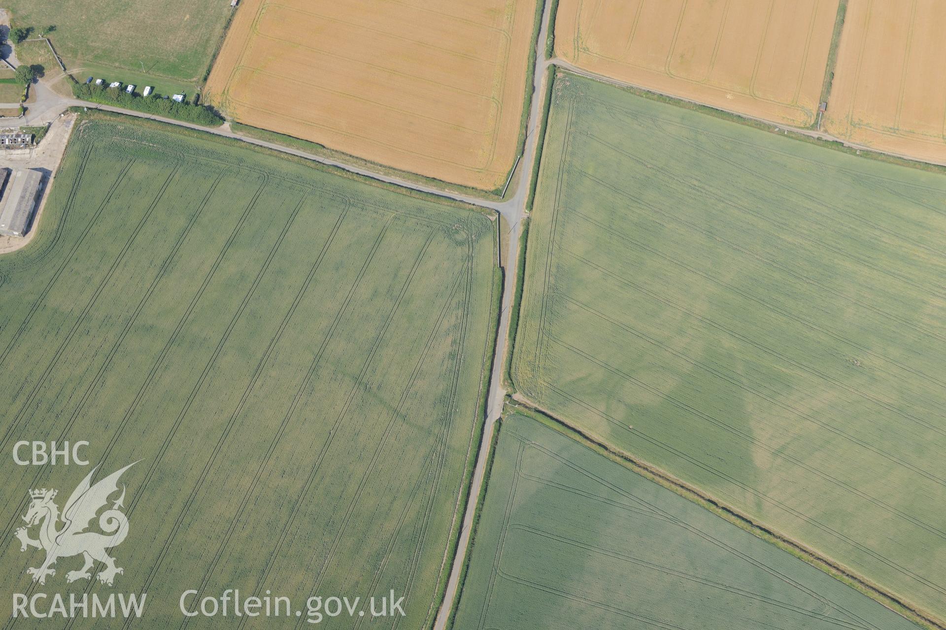 Cropmark of a longhouse ring ditch or circular enclosure, north east of Trefin, Pembrokeshire. Oblique aerial photograph taken during the Royal Commission?s programme of archaeological aerial reconnaissance by Toby Driver on 16th July 2013.