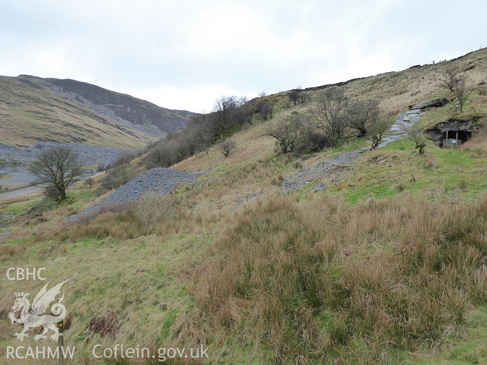 The relationship between the soil heap and the Llechwedd adit, photographed on 13th February 2019 as part of archaeological assessment of Antur Stiniog Downhill Cycle Tracks Extension, conducted by I. P. Brooks of Engineering Archaeological Services Ltd.