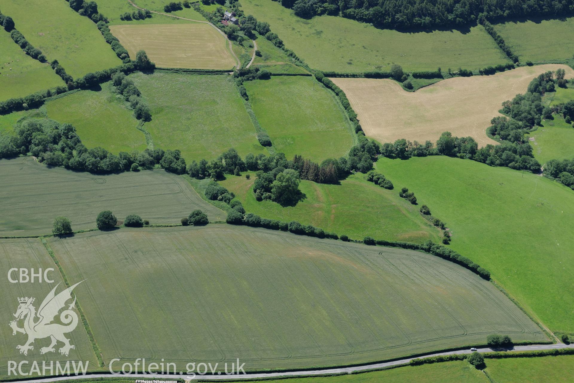 Castell Foel-Allt motte and bailey, Pilleth, south of Knighton. Oblique aerial photograph taken during the Royal Commission's programme of archaeological aerial reconnaissance by Toby Driver on 30th June 2015.