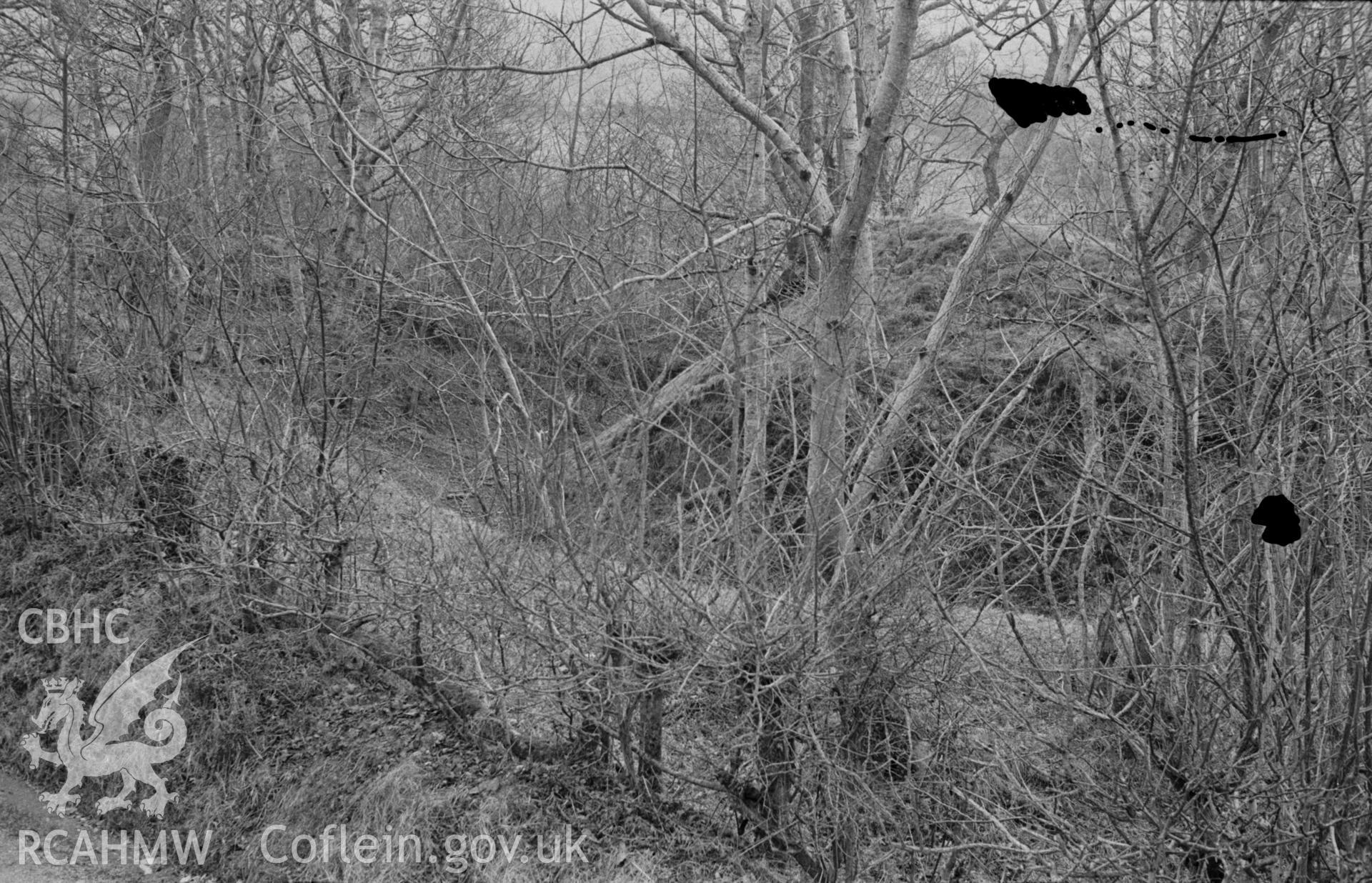 (Panorama, photograph 1 of 2). Digital copy of a black and white negative showing view of Castell Ystrad Peithyll motte from the road. Photographed in April 1963 by Arthur O. Chater from Grid Reference SN 6533 8245, looking south south west.