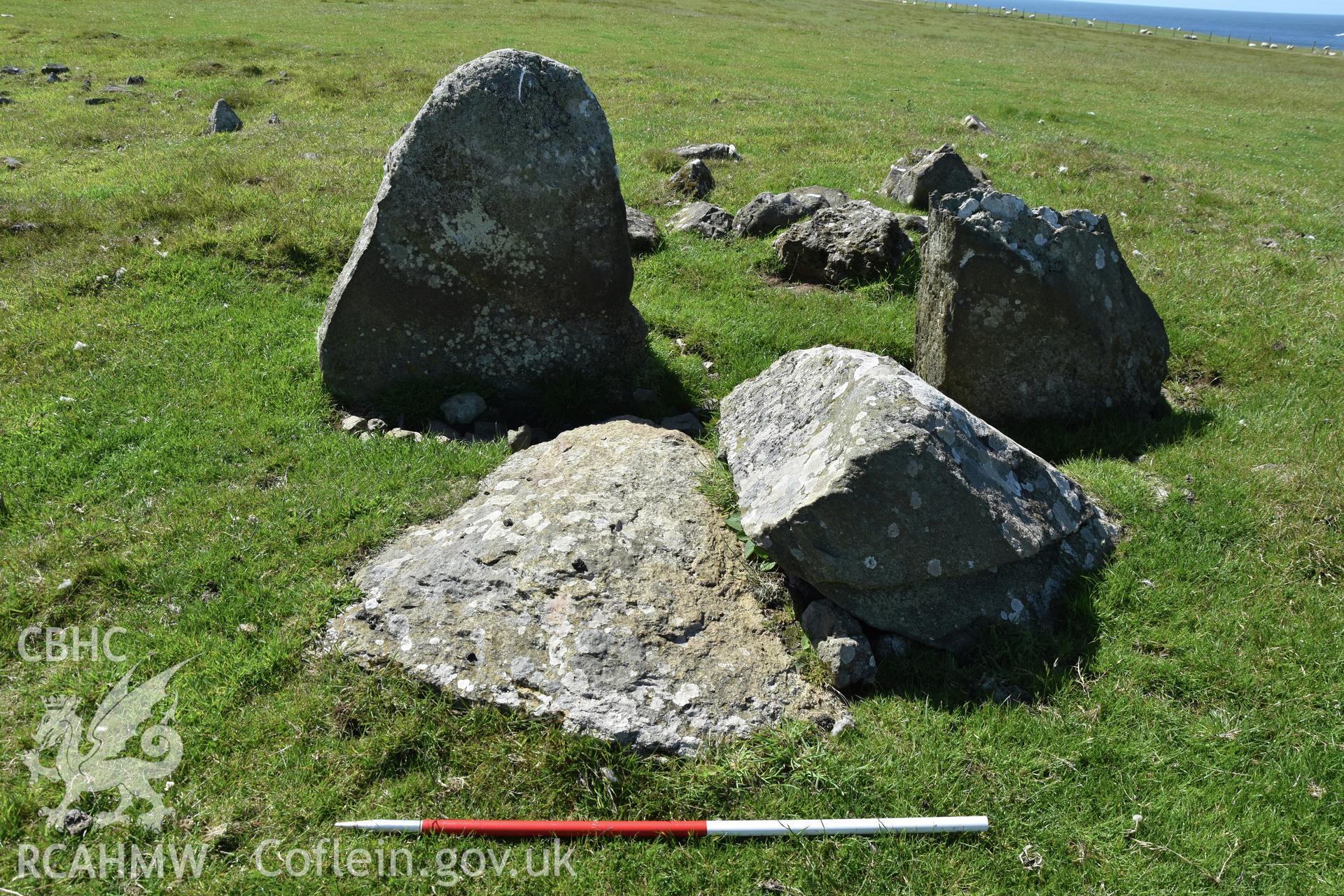 Lower Treginnis chambered tomb. View looking south-west with collapsed former capstone. 1m scale. Investigator?s photographic survey for the CHERISH Project. ? Crown: CHERISH PROJECT 2019. Produced with EU funds through the Ireland Wales Co-operation Programme 2014-2020. All material made freely available through the Open Government Licence.