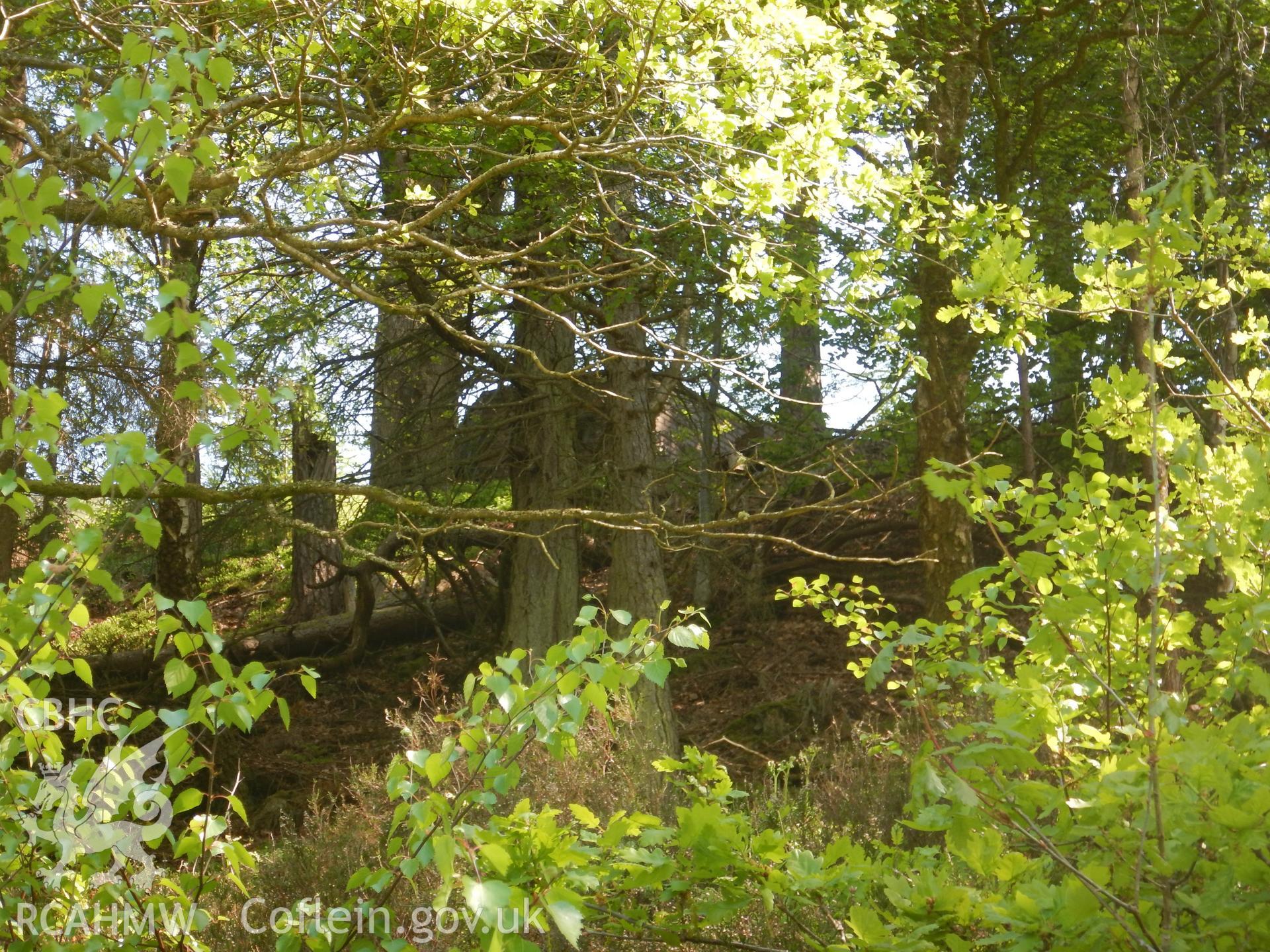 Elan Valley pill box, seen through woodland from the road, looking east. Photographed for Archaeological Desk Based Assessment of Afon Claerwen, Elan Valley, Rhayader, Powys. Assessment by Archaeology Wales in 2018. Report no. 1681. Project no. 2573.