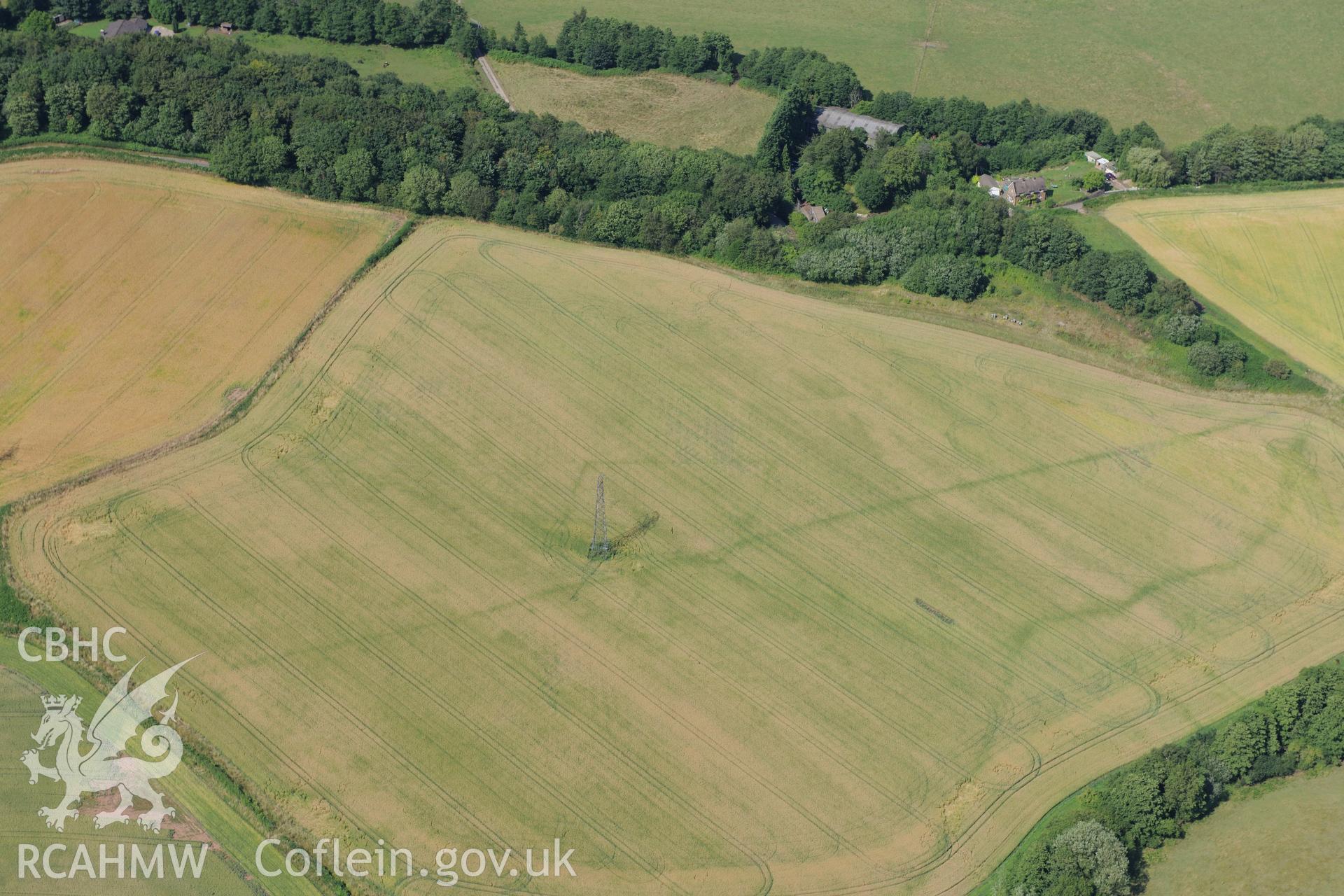 Malthouse Road defended enclosure and Graig-yr-Eurych castle mound (covered by woodland), between Caerleon and Cwmbran. Oblique aerial photograph taken during the Royal Commission?s programme of archaeological aerial reconnaissance by Toby Driver on 1st August 2013.