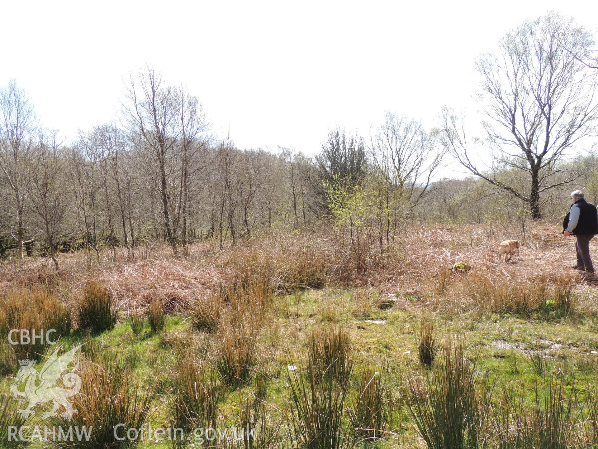 'Penstock route c. SH62384 44062. Looking south west.' Photographed as part of desk based assessment and heritage impact assessment of a hydro scheme on the Afon Croesor, Brondawn Estate, Gwynedd. Produced by Archaeology Wales, 2018.