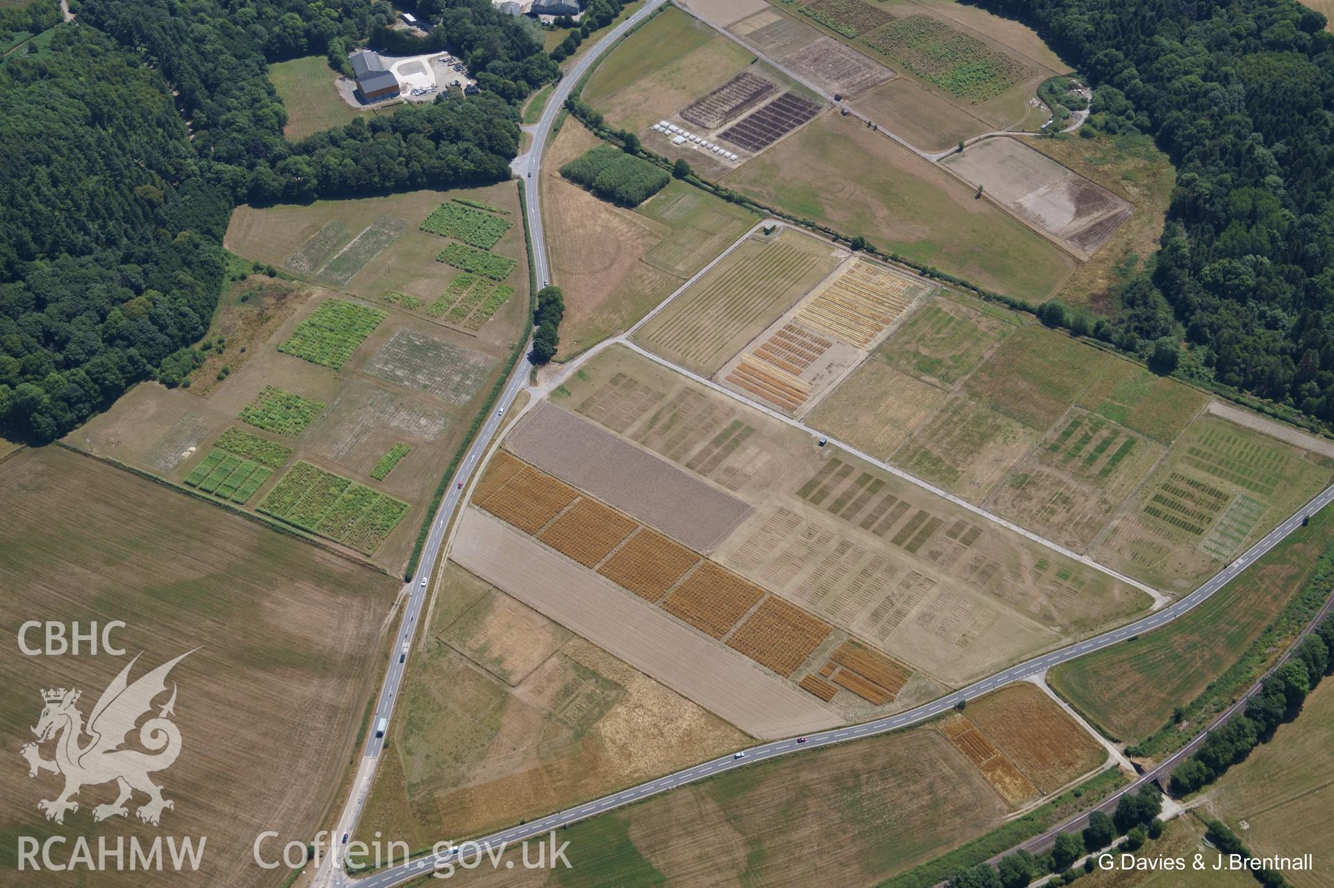 Aerial photograph of Gogerddan enclosure & nearby cropmarks, taken by Glyn Davies & Jonathan Brentnall on 22/07/2018 under drought conditions. This photograph is the original, see BDC_02_04_03 for modified version enhancing the archaeology's visibility.