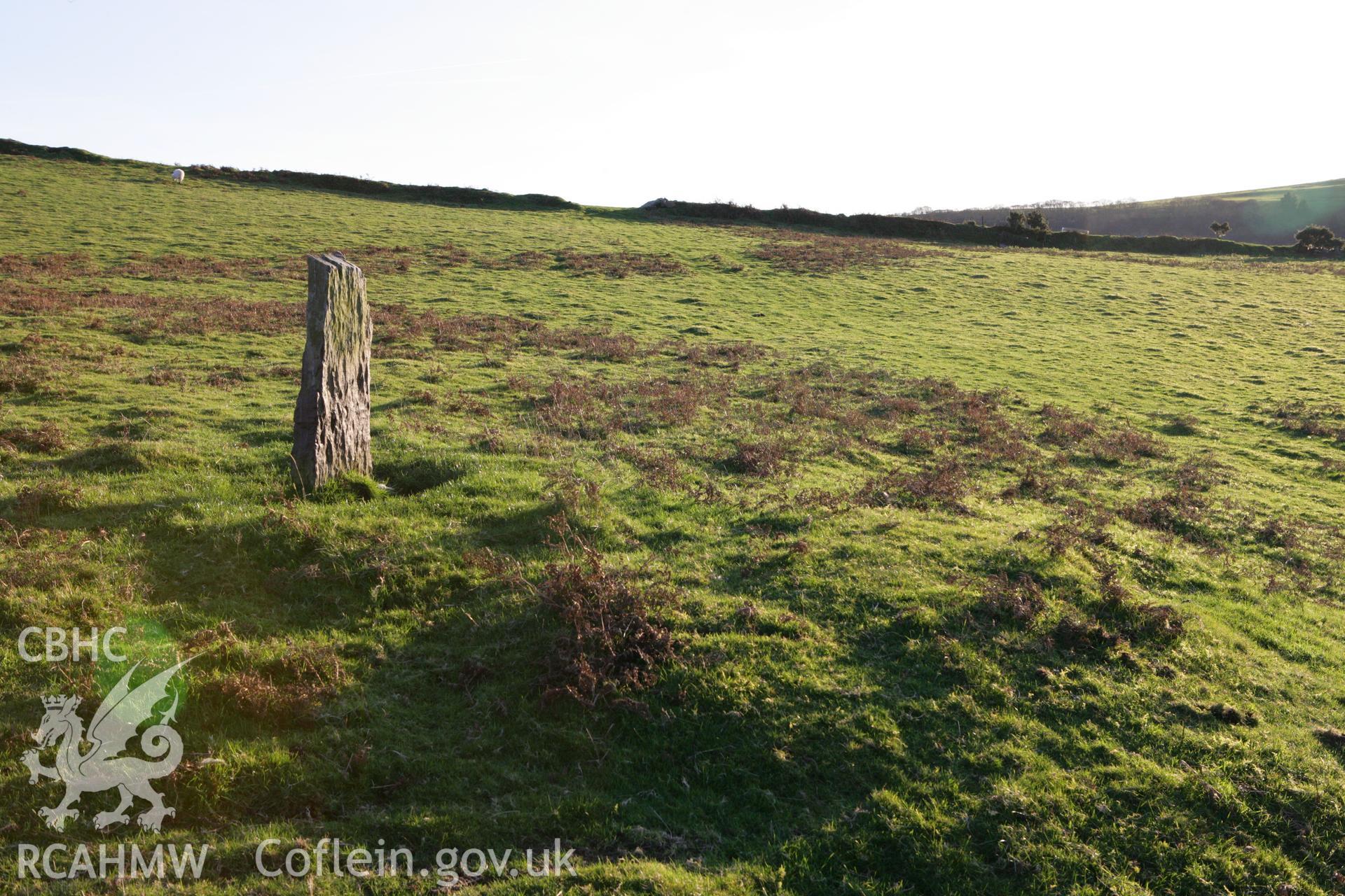 Photographic survey of standing stone pair in winter light, conducted on 15th November 2007.