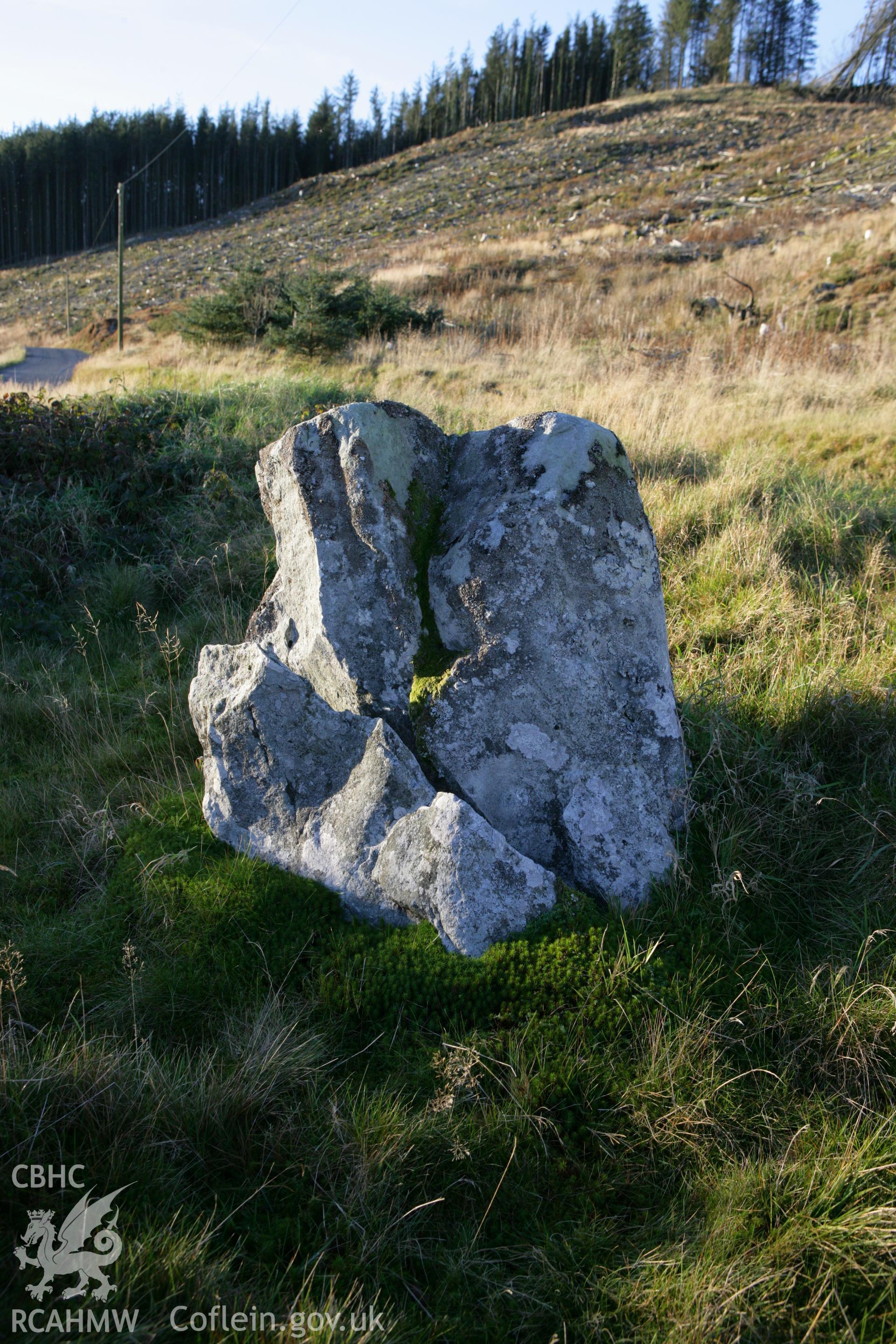 Buwch a'r Llo standing stones.