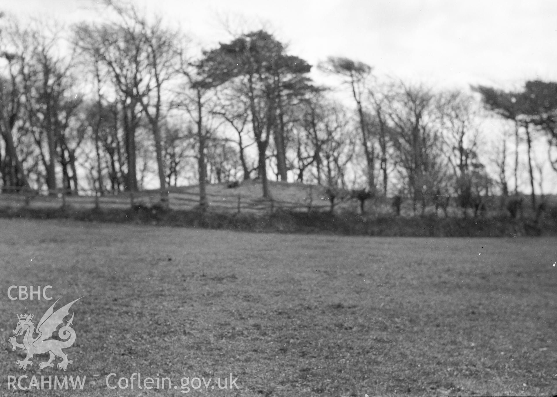 Digital copy of a nitrate negative showing Bryn Digrif Barrows. Transcript of the reverse of the printed photograph: 'Flint 267 Whitford/ Bryn Covert [?] Bryn Digrif (1) Tumulus.' From the Cadw Monuments in Care Collection.