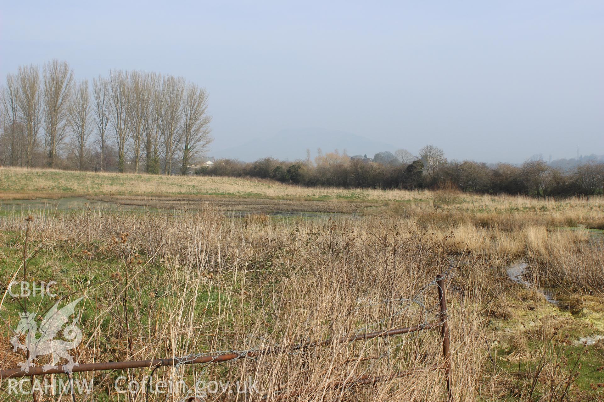 Marshy area at the proposed Eisteddfod site. Photographed on site visit for archaeological desk based assessment of the proposed Eisteddfod Site at Castle Meadows and Llanfoist, Abergavenny, carried out by Archaeology Wales, 2014.