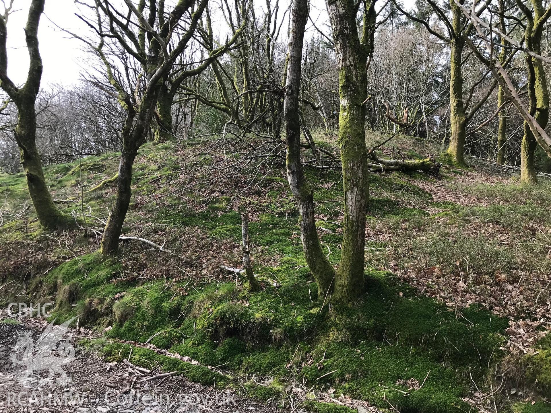 Colour photograph of Banc-y-Castell, north east of Goginan, Aberystwyth, taken by Paul R. Davis on 23rd March 2019.