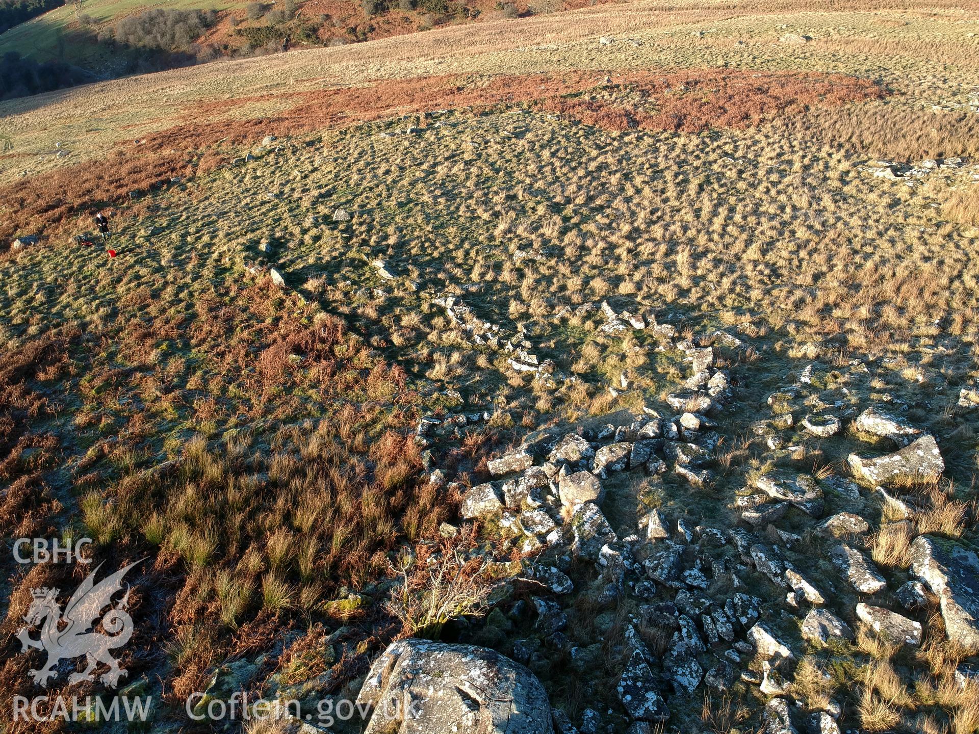Detailed view of the overgrown walls belonging to Ffridd Camen long hut, Llandrillo. Colour photograph taken by Paul R. Davis on 2nd January 2019.