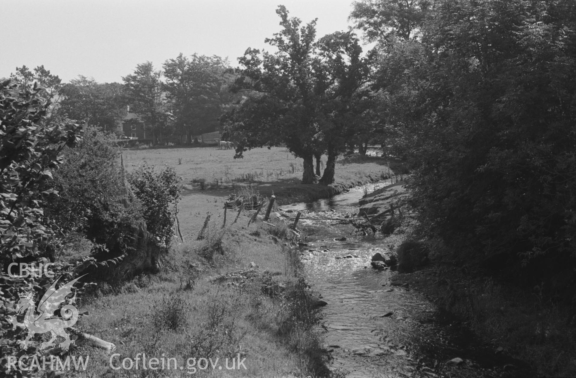 Digital copy of a black and white negative showing view looking up the Afon Fflur to Old Abbey Farm from Pont Fflur. Photographed by Arthur O. Chater in August 1967. (Looking east from Grid Reference SN 7161 6468).