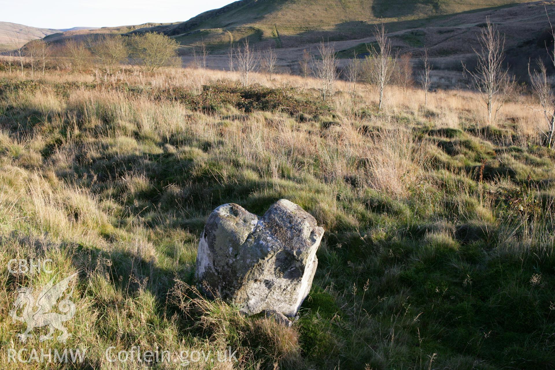 Buwch a'r Llo standing stones.