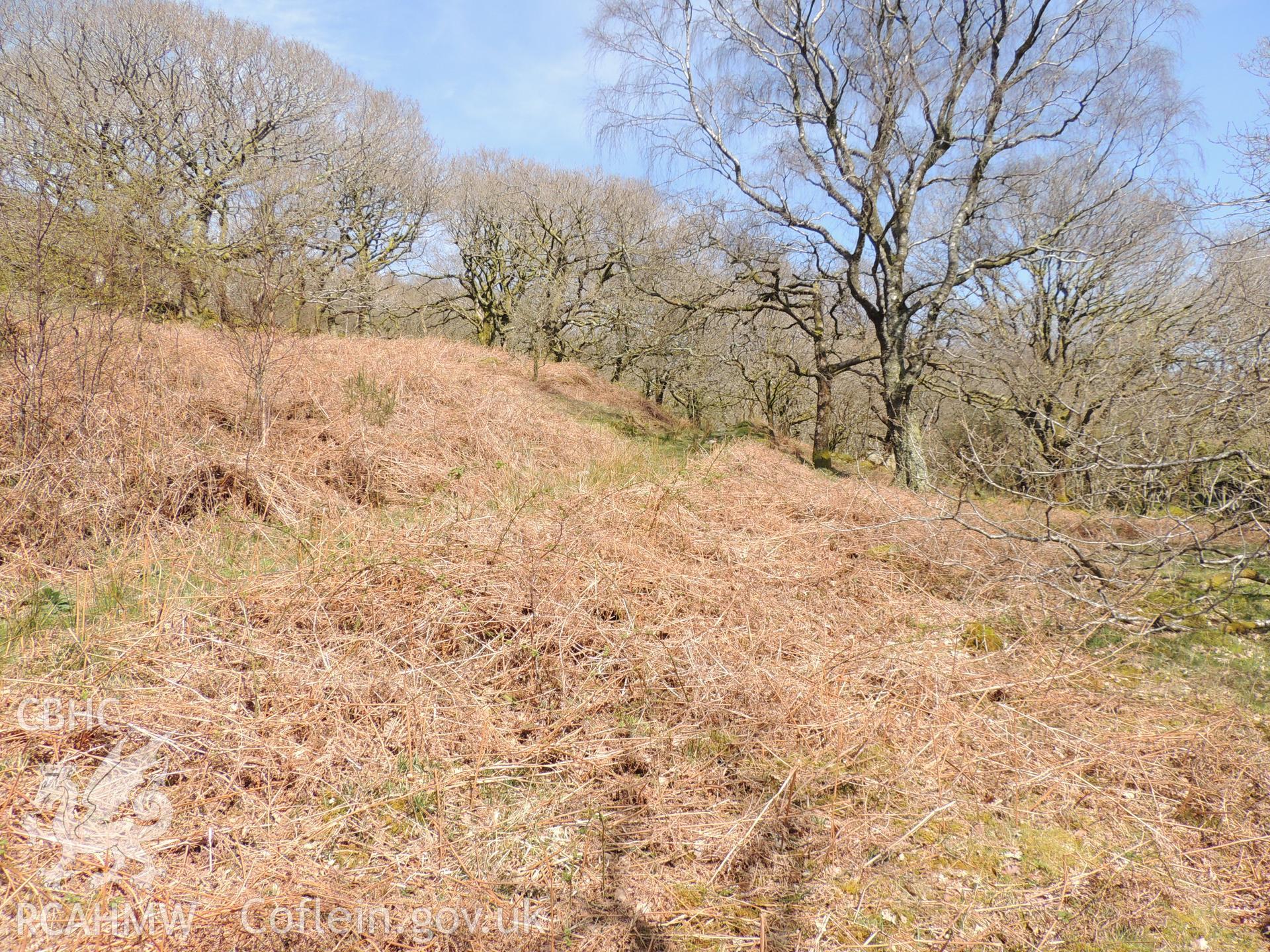 'View towards Gelli Iago hut circle, demonstrating no visibility between the heritage asset & the penstock route. Looking north west.' Photographed for heritage impact assessment of Afon Croesor, on the Brondanw Estate. Produced by Archaeology Wales, 2018.