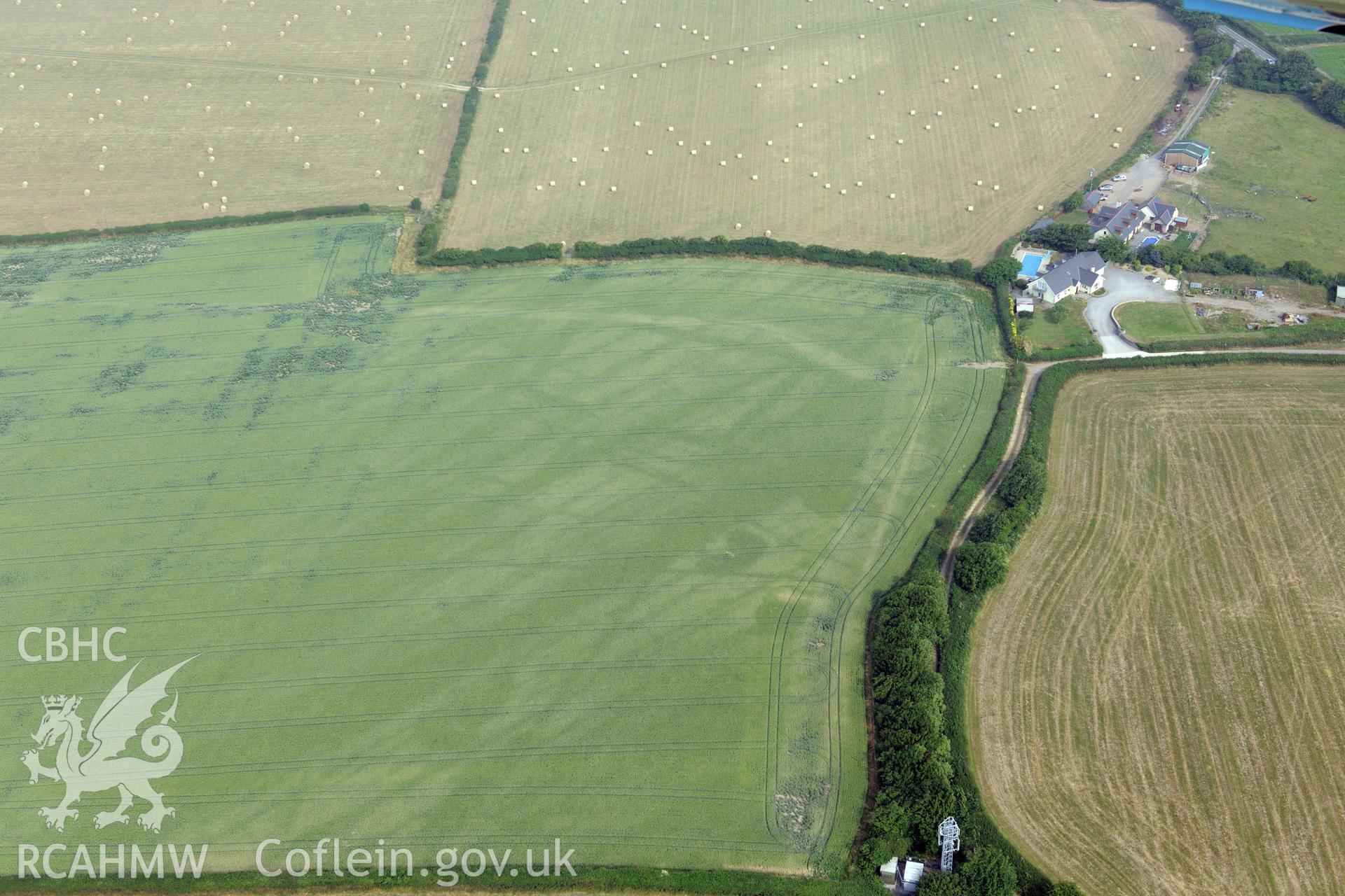 Royal Commission aerial photography of cropmarks at Moorlands Farm recorded during drought conditions on 22nd July 2013 at the time of their discovery.