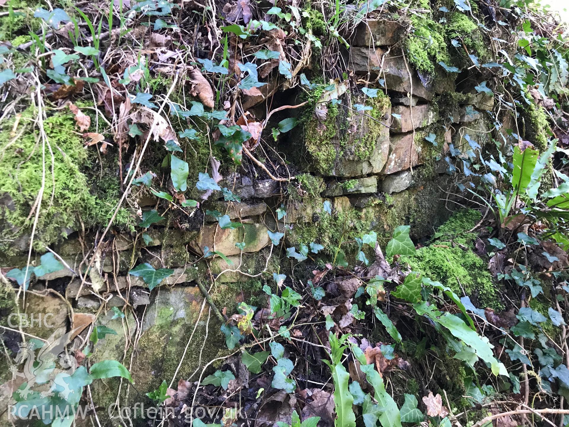 Digital colour photograph of overgrown stone wall at the abandoned Plas Baglan, Baglan, south of Neath, taken by Paul R. Davis on 10th March 2019.