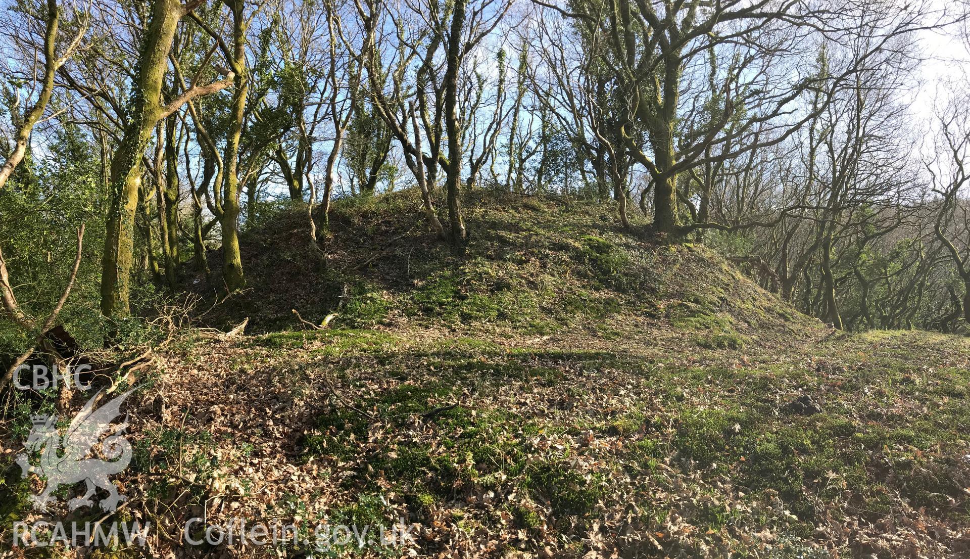 Colour photograph of Cwm Clais motte, west of Cwmafan, Port Talbot, taken by Paul R. Davis on 10th March 2019.