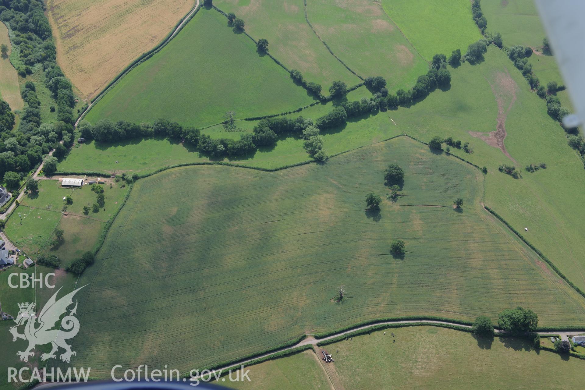 Grace Dieu Cistercian Abbey and the site of a post-medieval house at Abbey Meadow, west of Monmouth. Oblique aerial photograph taken during the Royal Commission?s programme of archaeological aerial reconnaissance by Toby Driver on 1st August 2013.