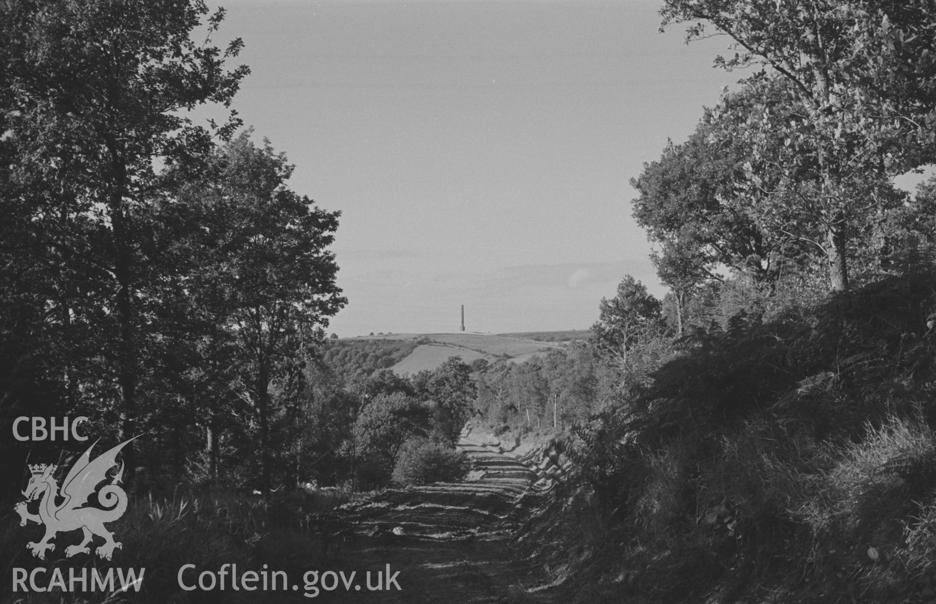 Digital copy of a black and white negative showing view looking along the new forestry road through Coed Gwarallt, above Allt-Goch farm, to the Derry Ormond Tower. Photographed by Arthur O. Chater in September 1966 looking north east from SN 590 499.