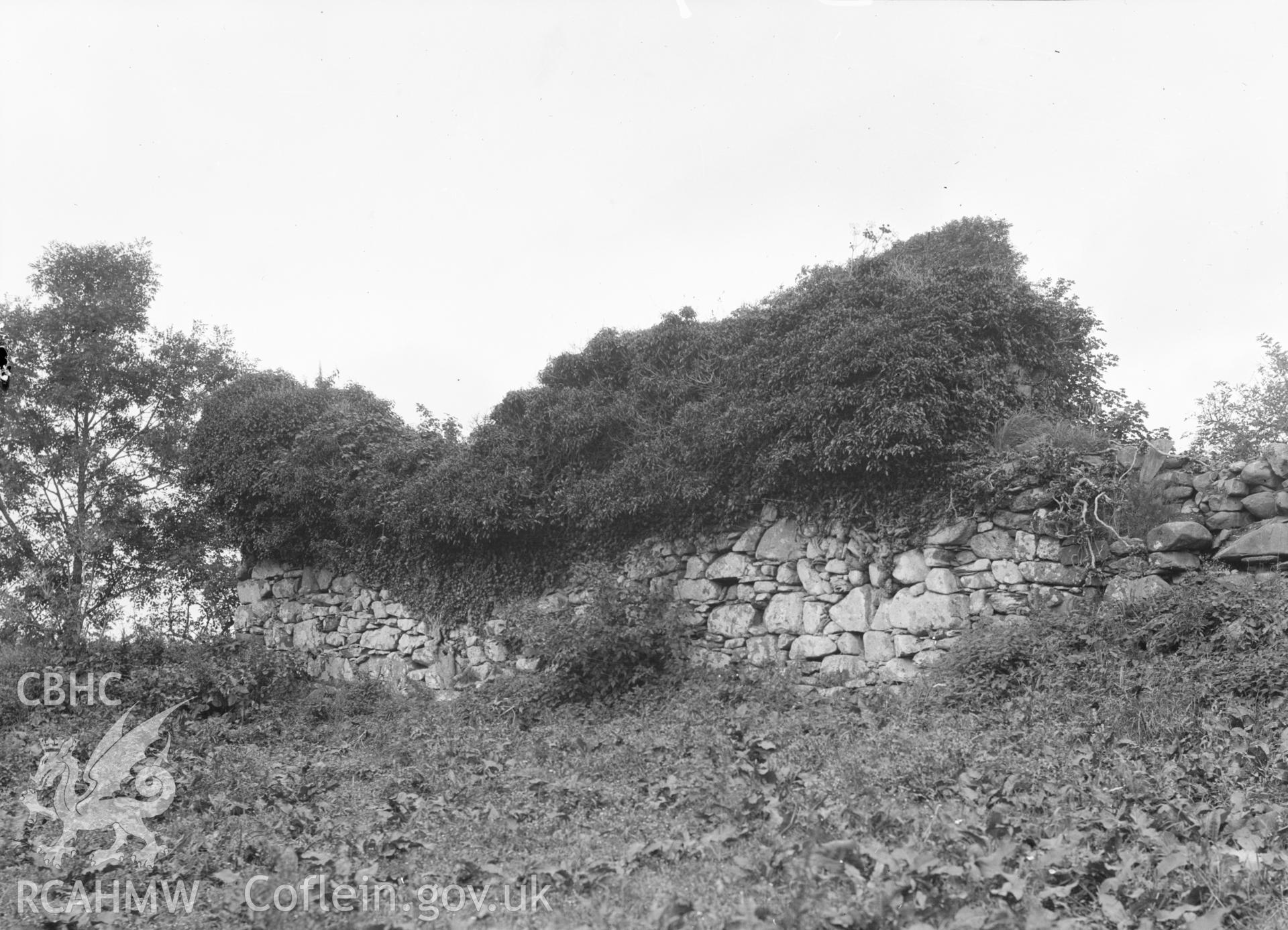 Digital copy of a nitrate negative showing Clenennau Cairn.