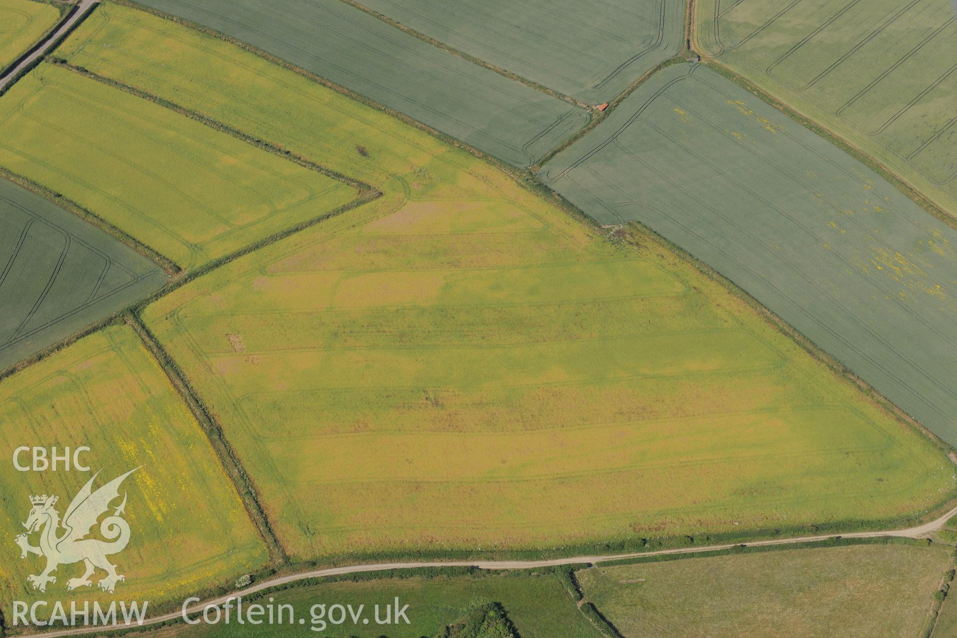 Mynydd Hwnt or Commins Mawr defended enclosure, east of Trefin, Pembrokeshire. Oblique aerial photograph taken during the Royal Commission?s programme of archaeological aerial reconnaissance by Toby Driver on 16th July 2013.