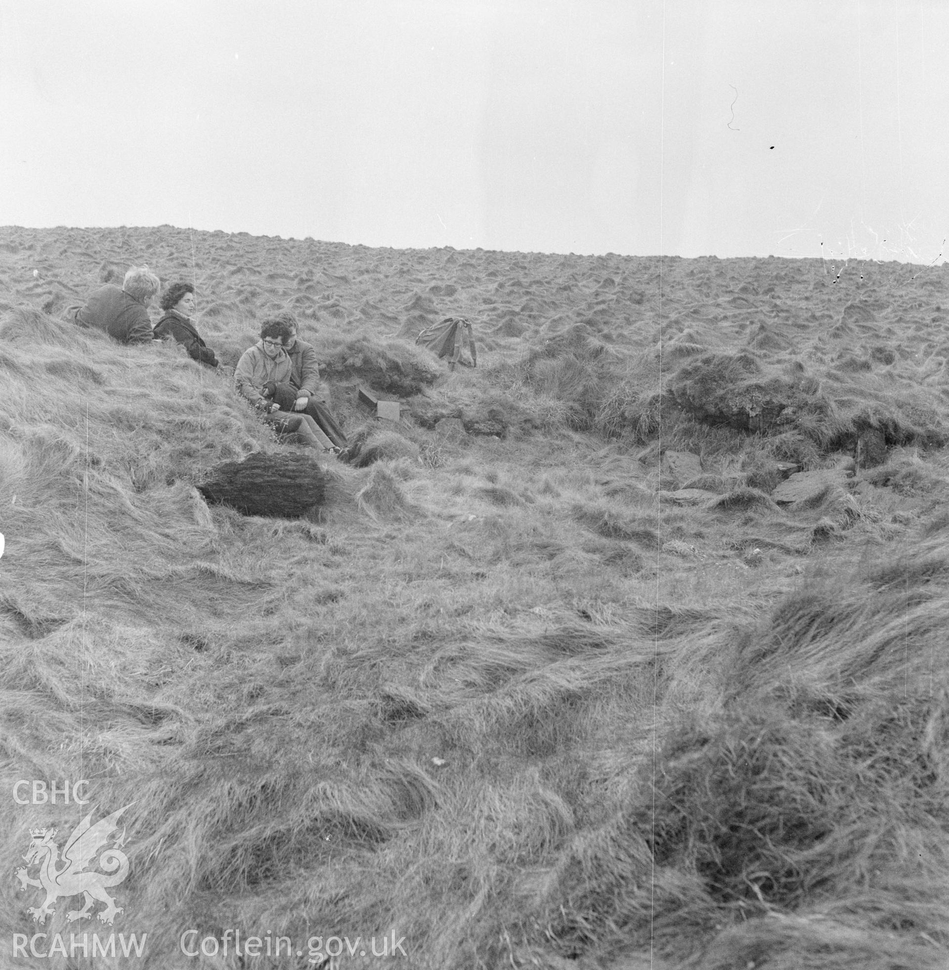 Digital copy of an acetate negative showing "Marloes, Gateholm Island", 15th April 1957.