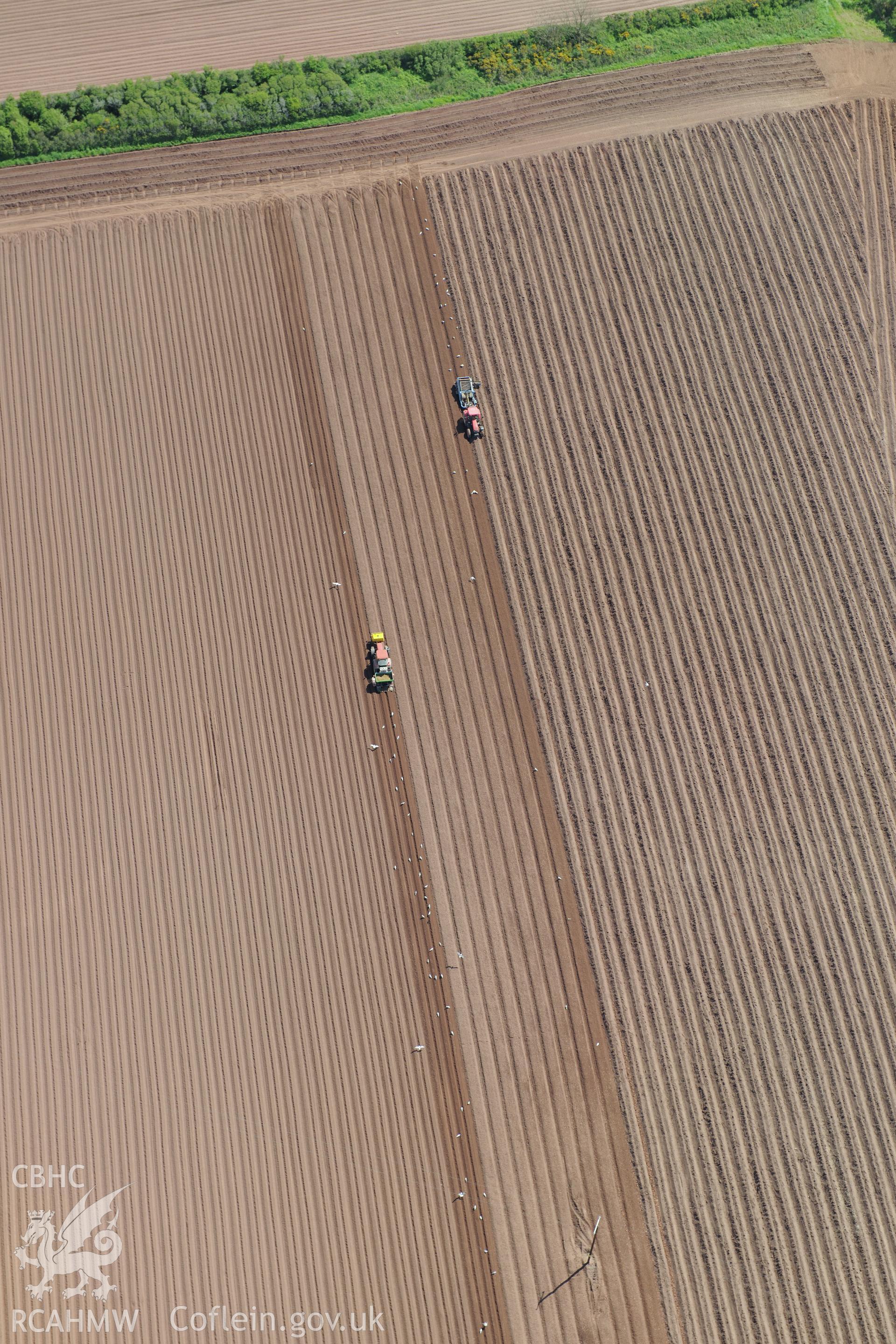 Ploughing in a field near St. Ishmael's. Oblique aerial photograph taken during the Royal Commission's programme of archaeological aerial reconnaissance by Toby Driver on 13th May 2015.