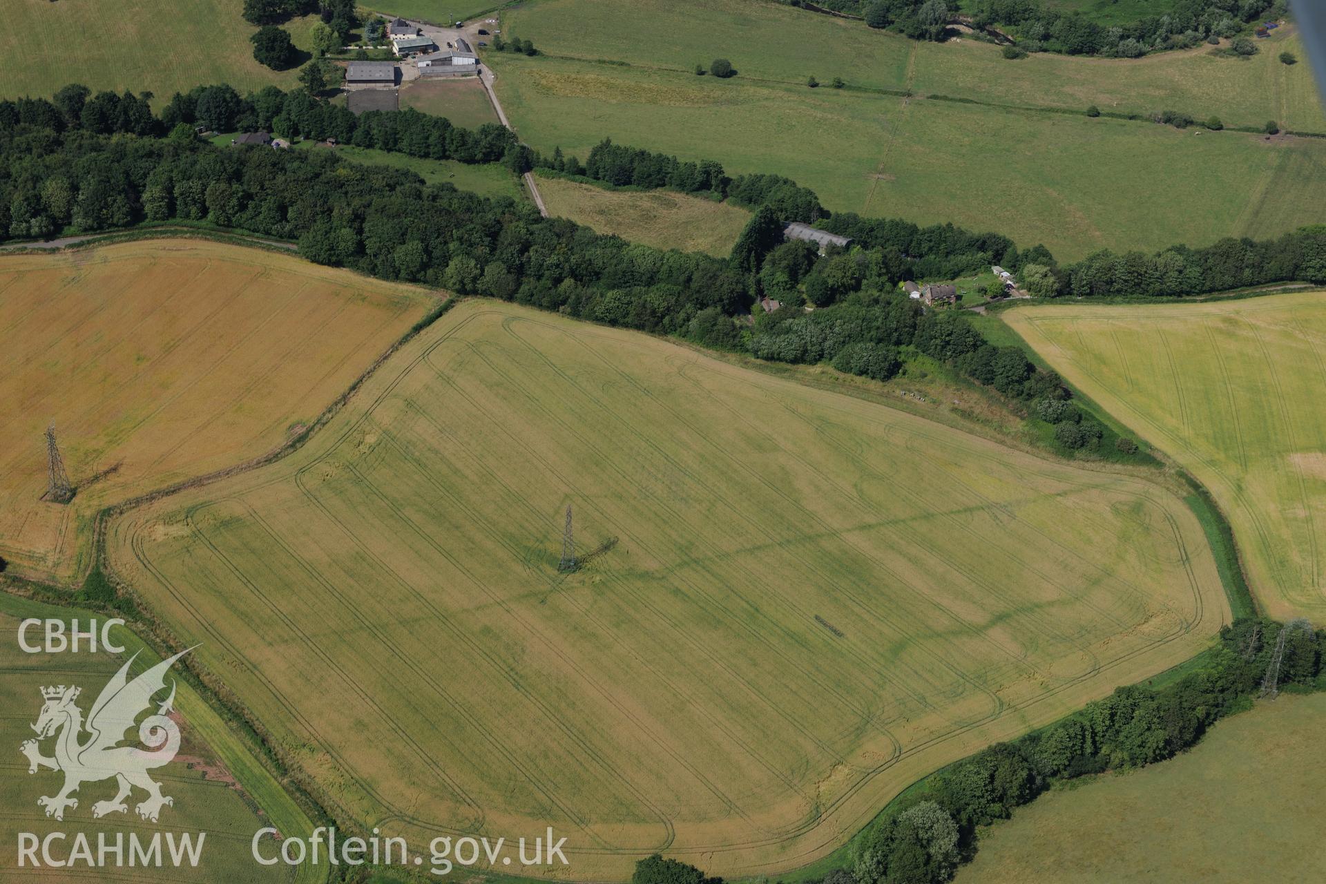 Malthouse Road defended enclosure and Graig-yr-Eurych castle mound (covered by woodland), between Caerleon and Cwmbran. Oblique aerial photograph taken during the Royal Commission?s programme of archaeological aerial reconnaissance by Toby Driver on 1st August 2013.