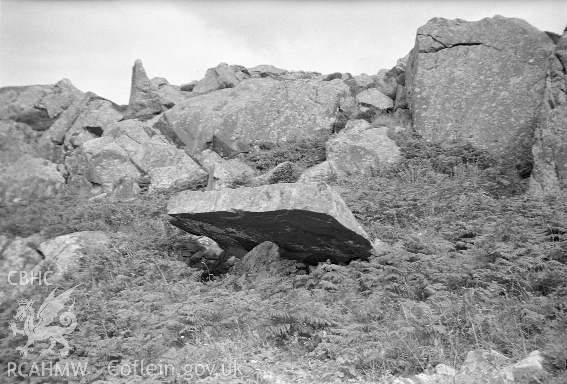 Digital copy of a nitrate negative showing view of Carnguwch Cairn.