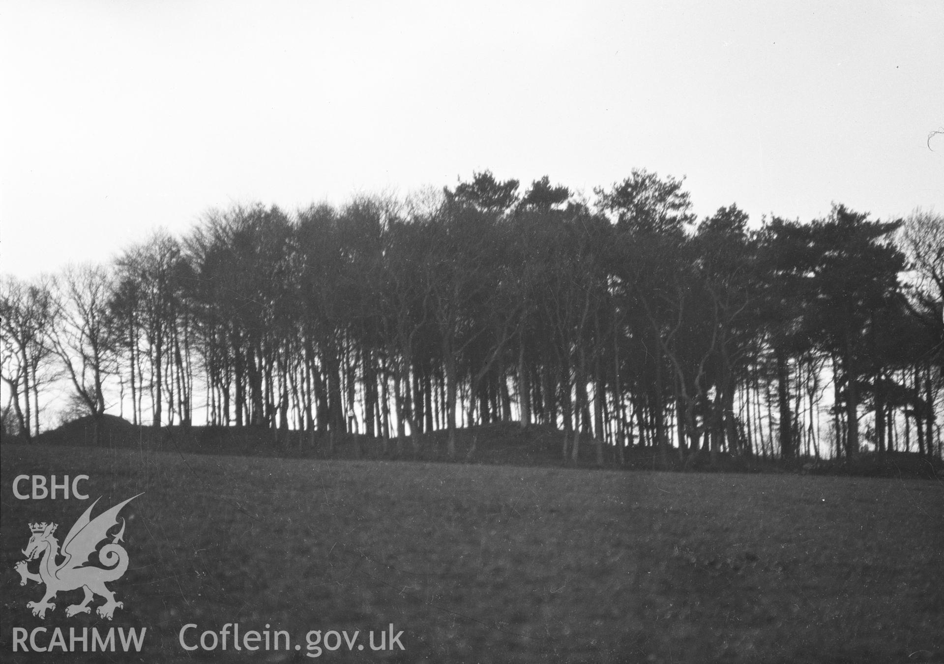 Digital copy of a nitrate negative showing Dinas y Prif Camp.