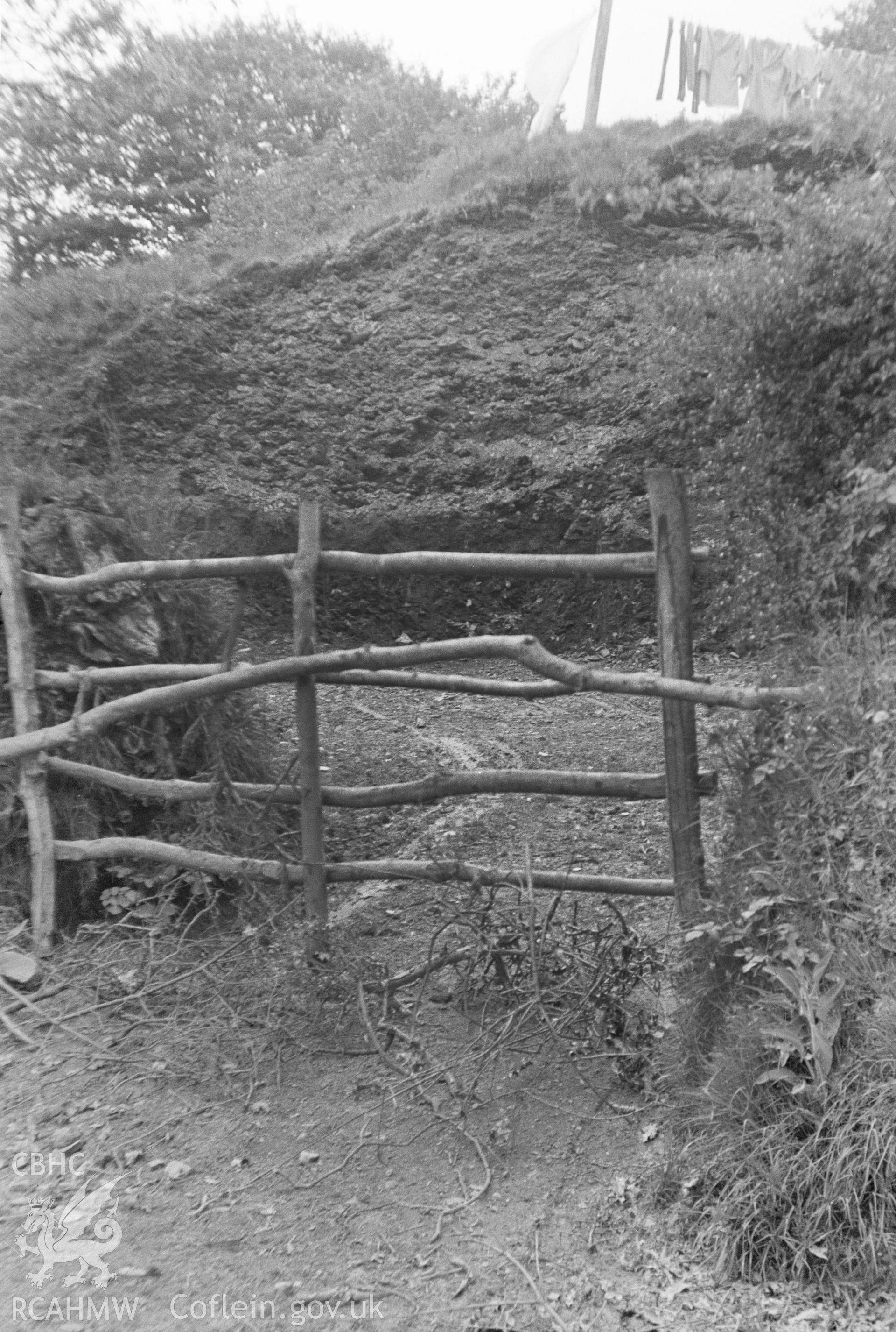 Digital copy of a nitrate negative showing Llanfyrnach Motte.