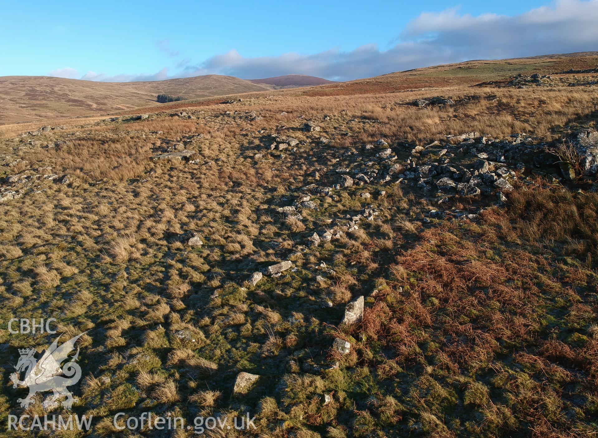 Detailed view of the overgrown walls belonging to Ffridd Camen long hut, Llandrillo. Colour photograph taken by Paul R. Davis on 2nd January 2019.