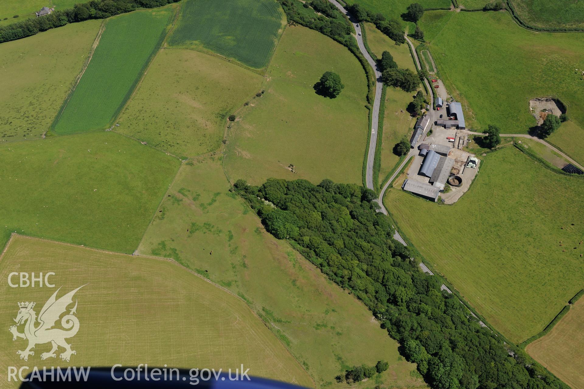 Bettws Plantation defended enclosure and Coed-Parc Gaer, Llangybi. Oblique aerial photograph taken during the Royal Commission's programme of archaeological aerial reconnaissance by Toby Driver on 30th June 2015.