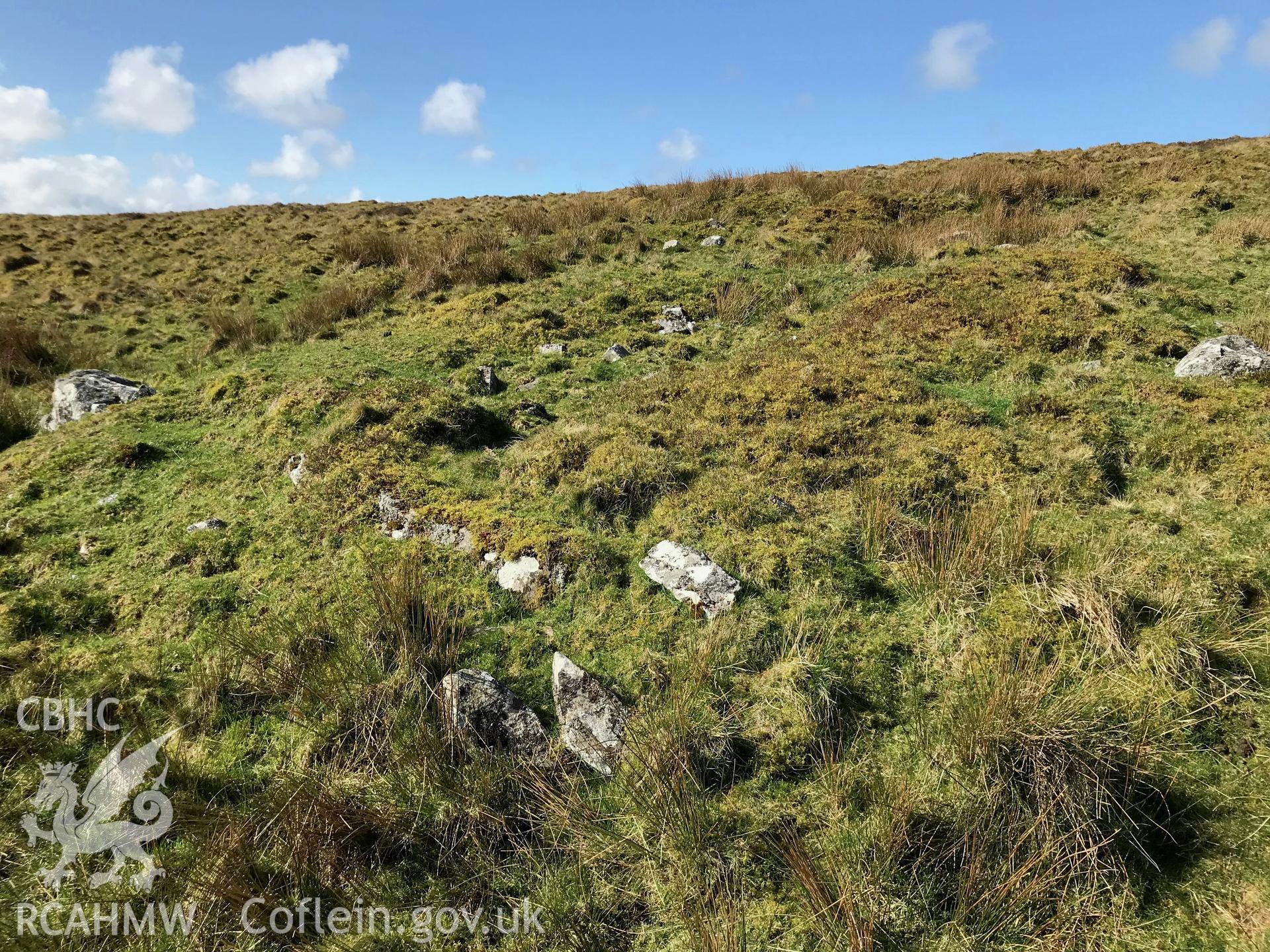 Digital colour photograph of Hafod Ithel deserted rural settlement, Lledrod, taken by Paul R. Davis on 24th March 2019.