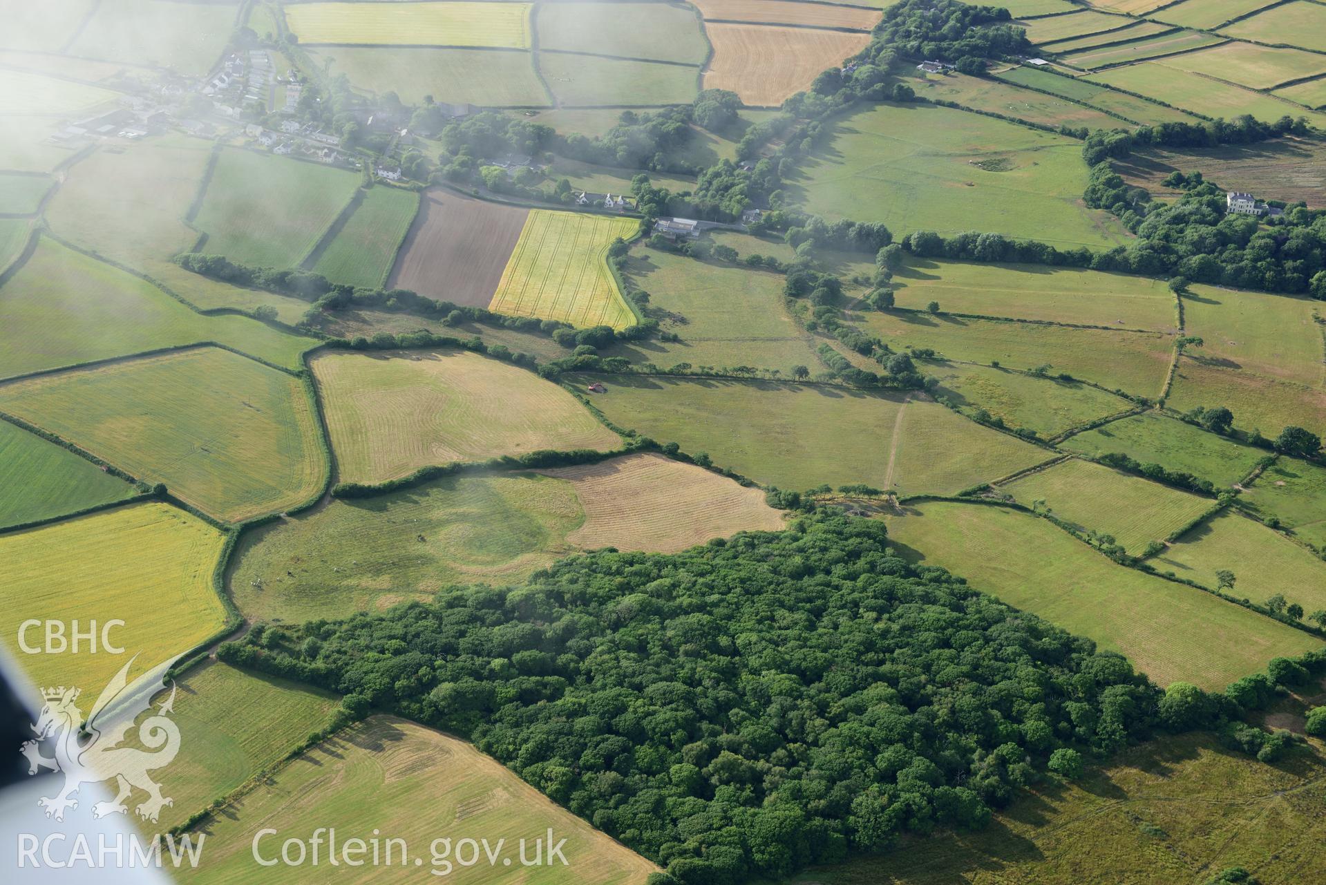 Royal Commission aerial photography of Berry Wood enclosure or possible henge, taken on 17th July 2018 during the 2018 drought.