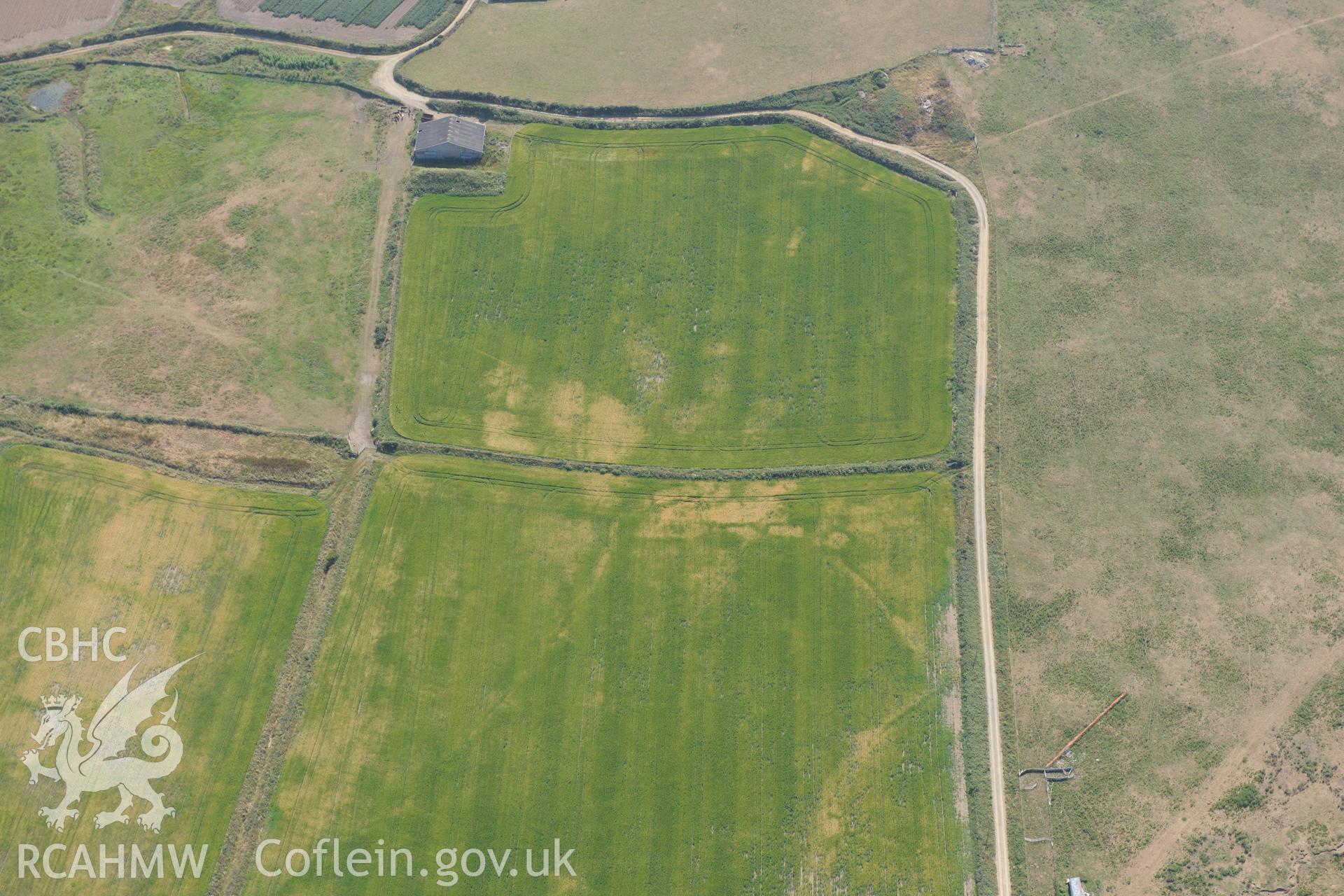 Parchmarks of possible township at Croes Phillip, St Davids. Oblique aerial photograph taken during the Royal Commission?s programme of archaeological aerial reconnaissance by Toby Driver on 16th July 2013.