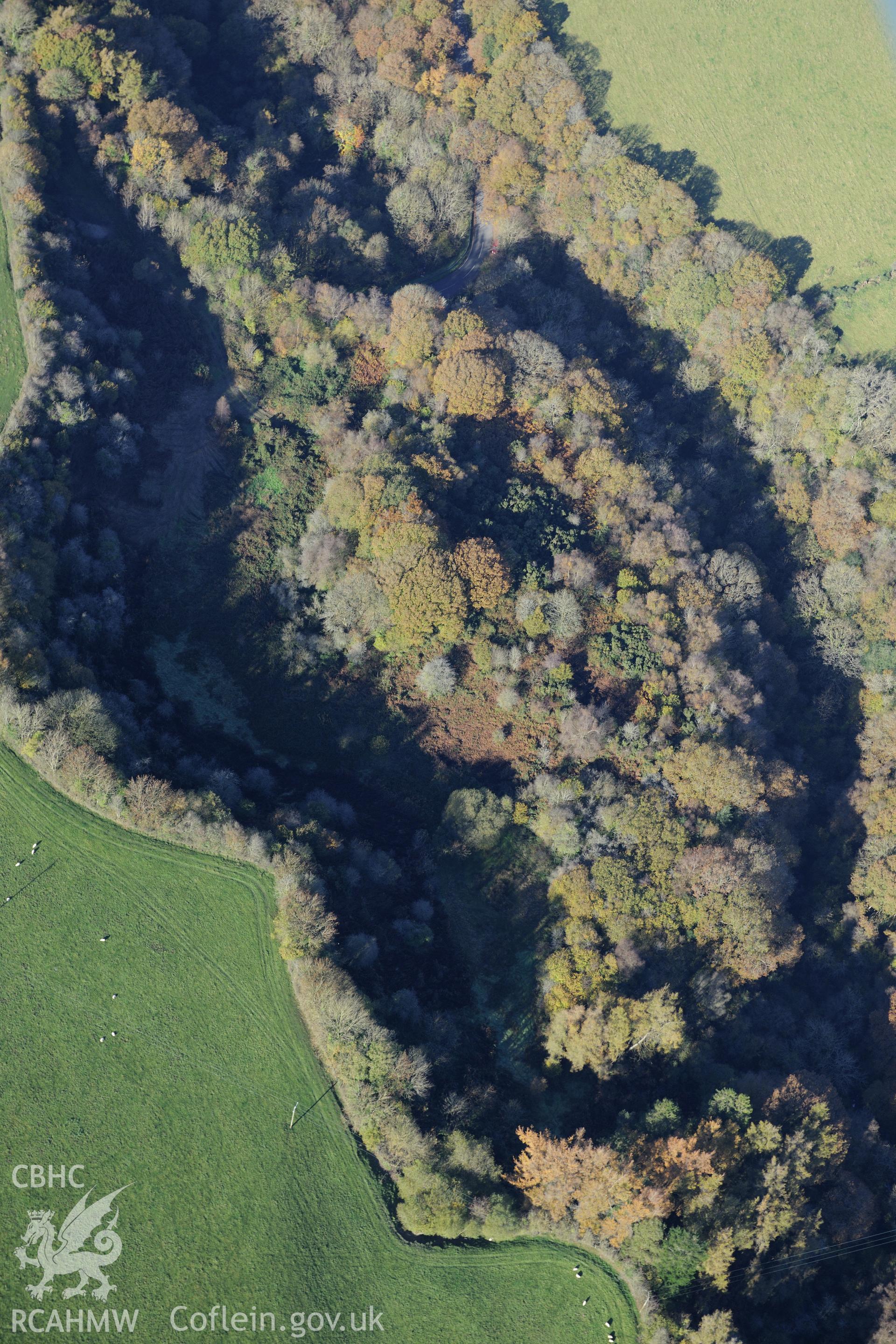 Cwm Castell defended enclosure, near Mydroilyn, New Quay. Oblique aerial photograph taken during the Royal Commission's programme of archaeological aerial reconnaissance by Toby Driver on 2nd November 2015.