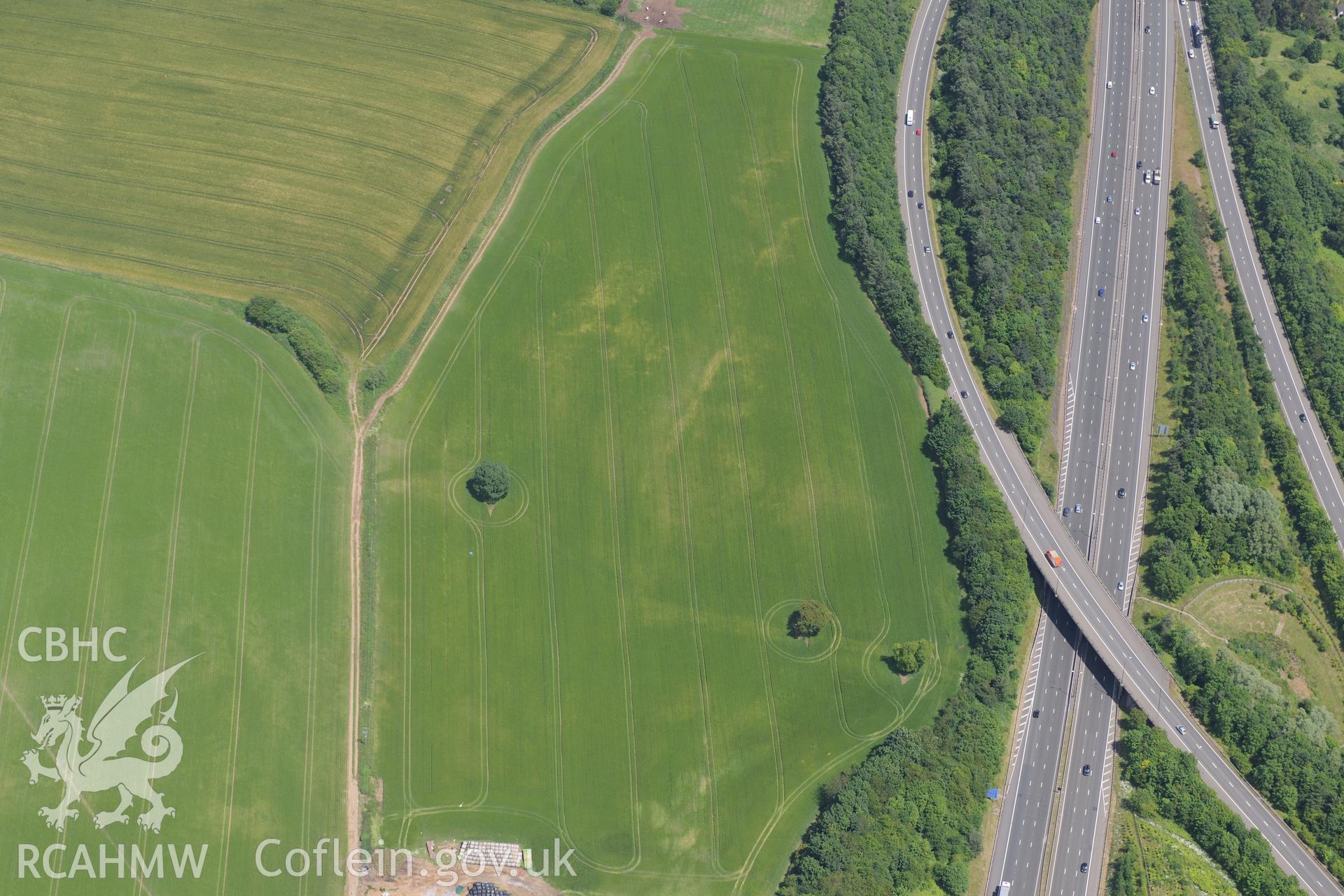 Cropmark enclosure east of New Park, near Junction 29 of the M4, Castleton. Oblique aerial photograph taken during the Royal Commission's programme of archaeological aerial reconnaissance by Toby Driver on 29th June 2015.