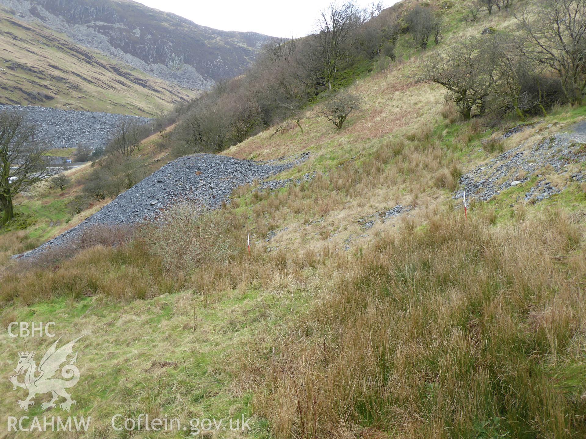 Spoil heap associated with the Llechwedd adit, photographed on 13th February 2019 as part of archaeological assessment of Antur Stiniog Downhill Cycle Tracks Extension, conducted by I. P. Brooks of Engineering Archaeological Services Ltd.