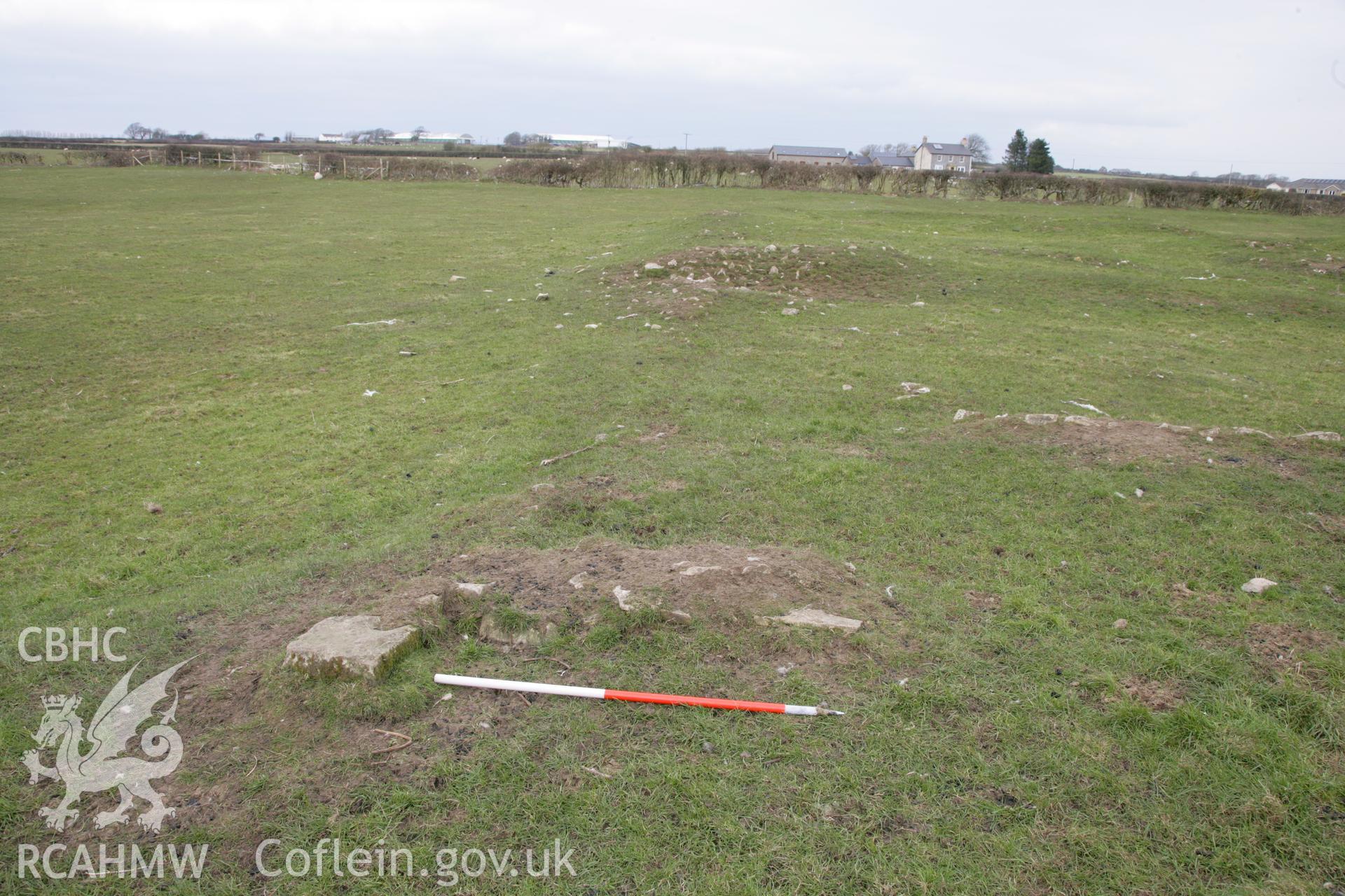 Caermead Roman villa. Investigator's photo survey. 1m scale.