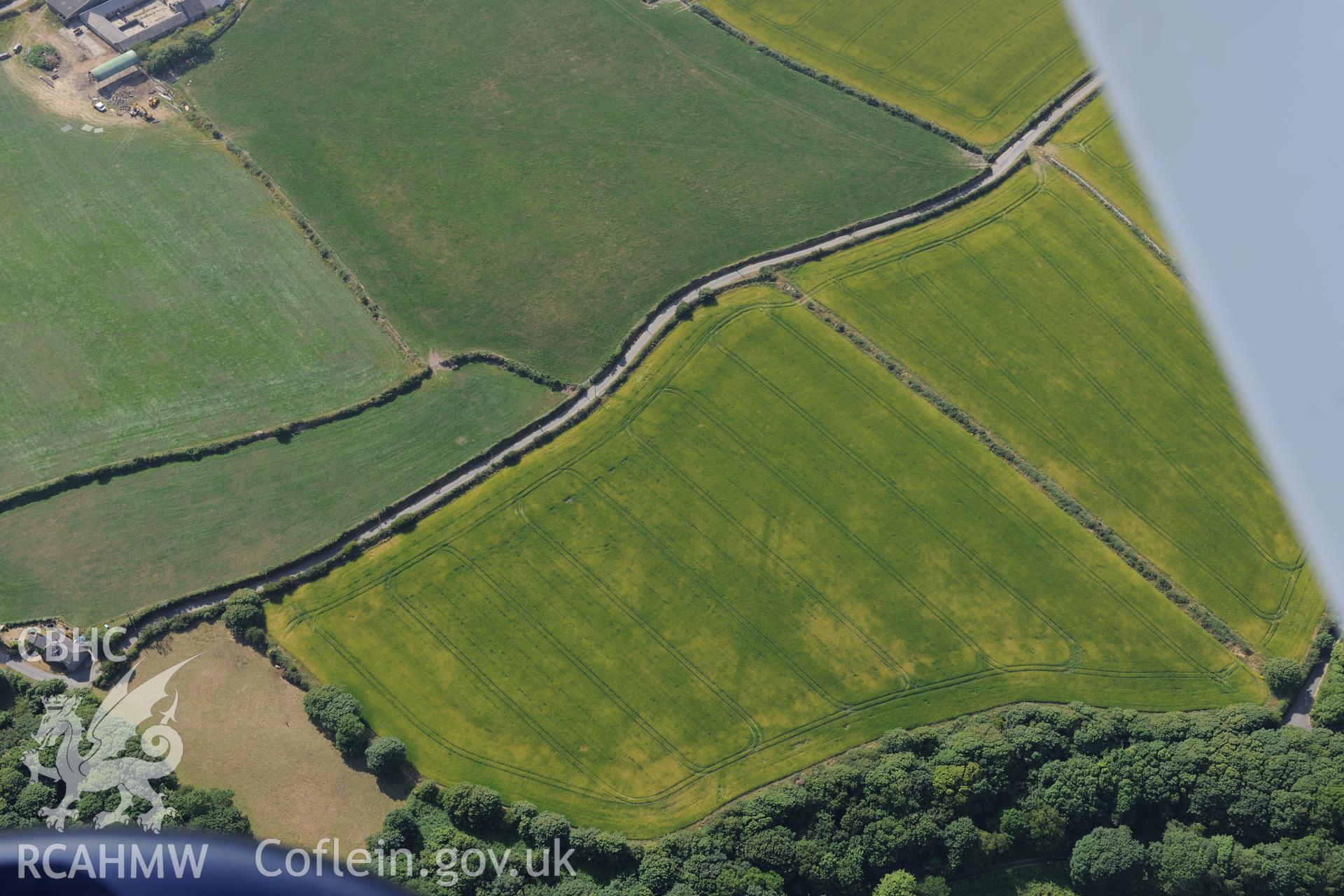 Pont y Penyd Cropmarks, St Davids. Oblique aerial photograph taken during the Royal Commission?s programme of archaeological aerial reconnaissance by Toby Driver on 16th July 2013.