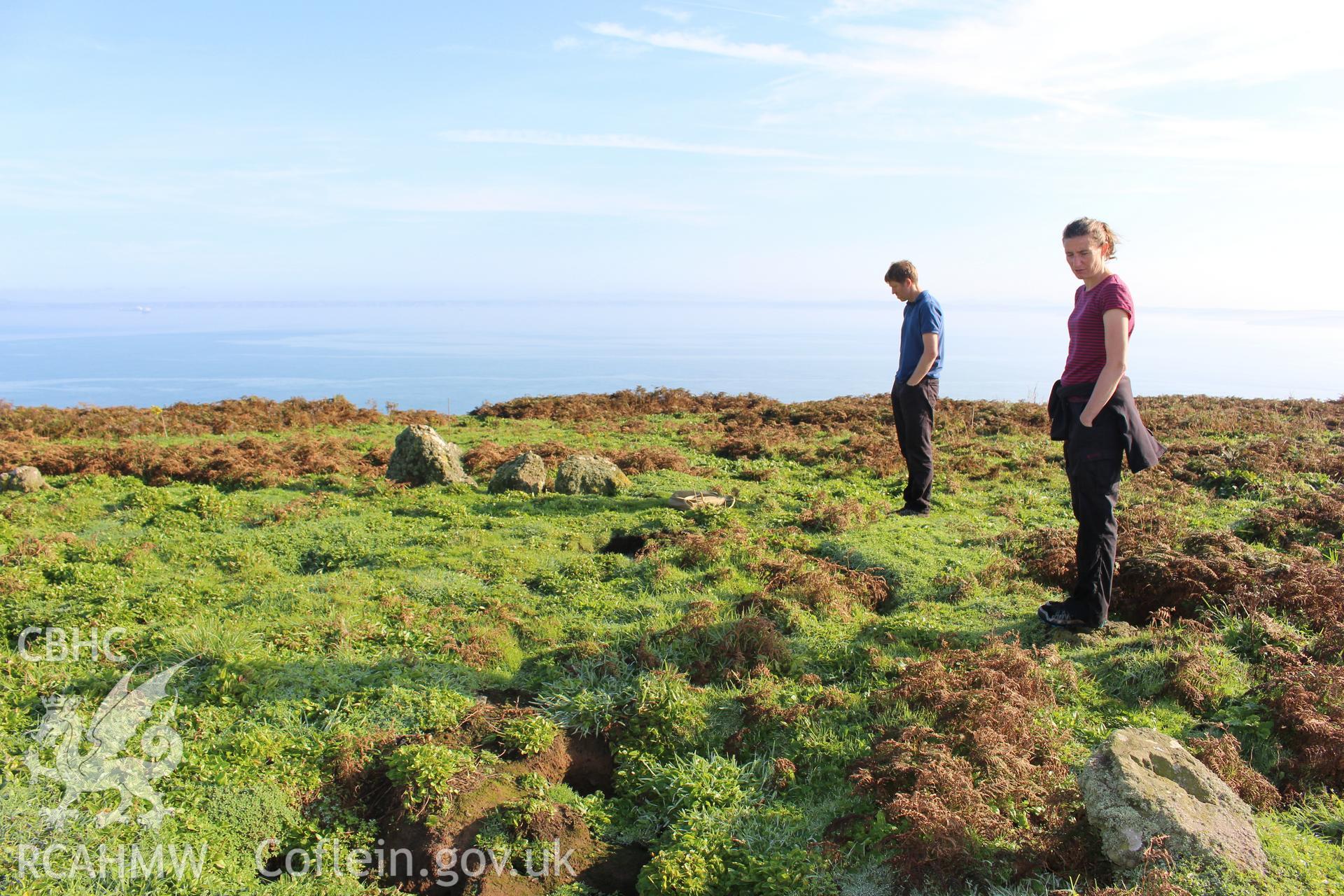 Investigator's photography of The Churchyard stone setting on Skomer Island, taken in September 2016.