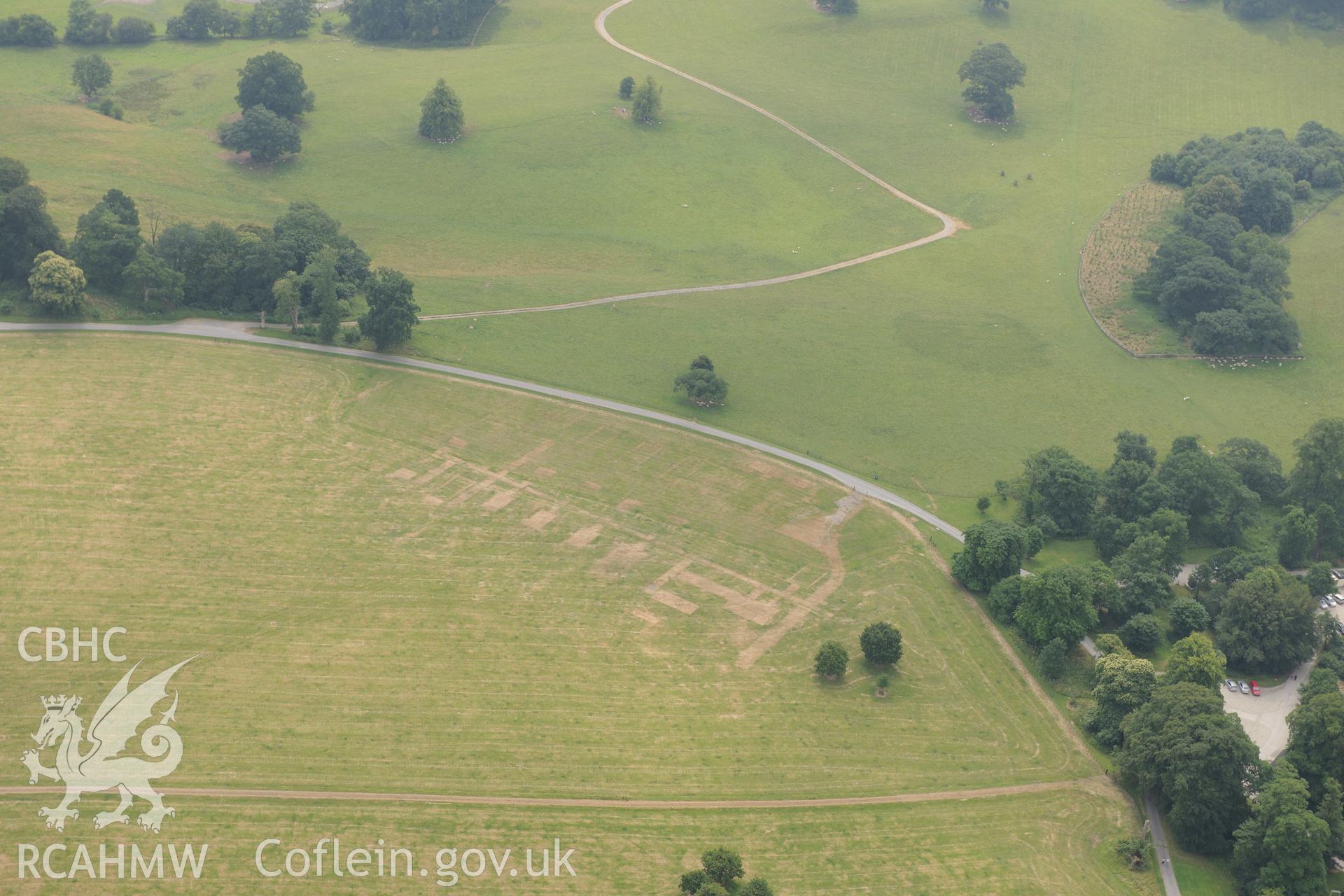 Royal Commission aerial photography of parchmarks in Dinefwr Park recorded during drought conditions on 22nd July 2013.