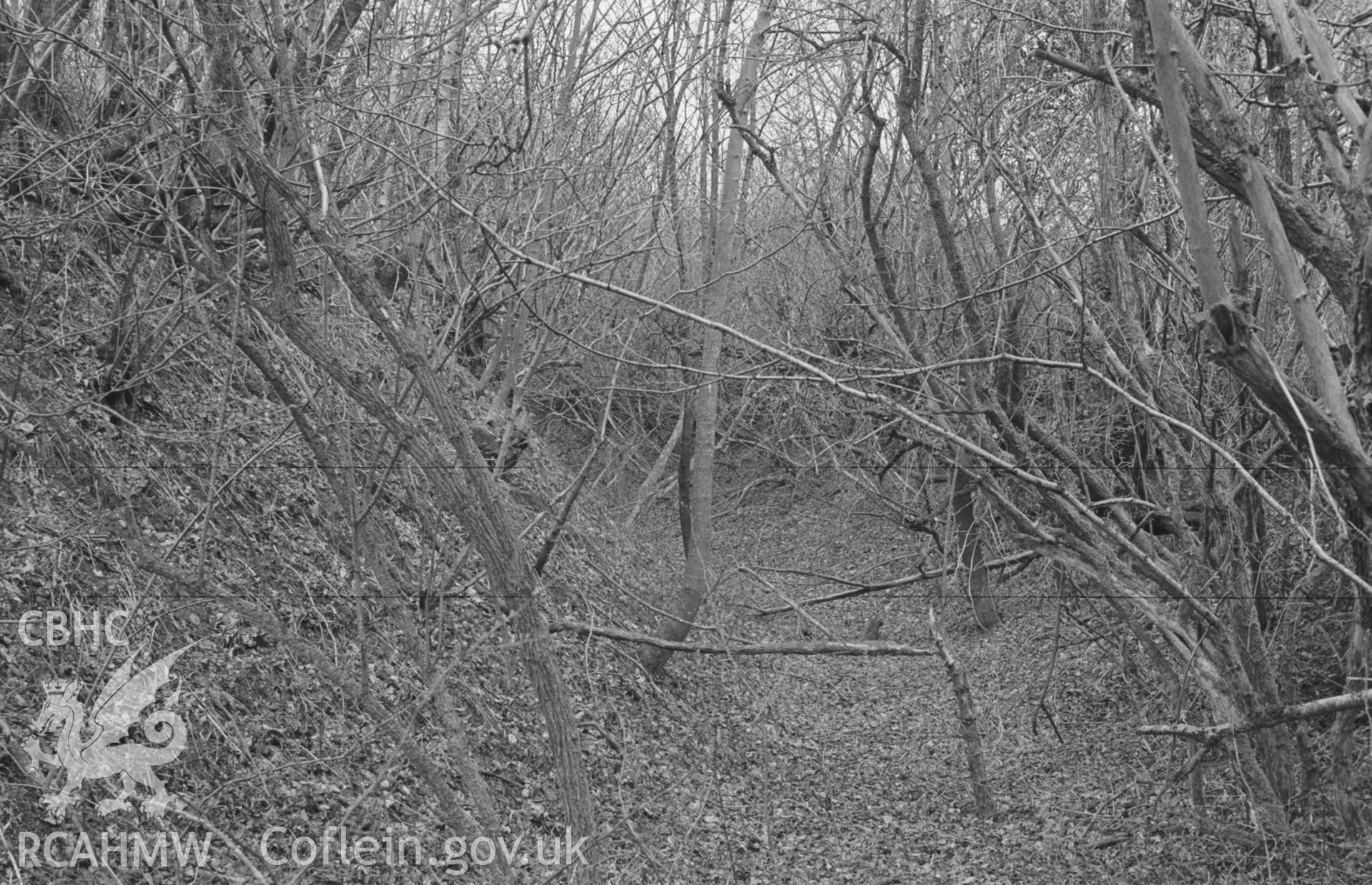 Digital copy of a black and white negative showing view of Castell Gwynionydd, Llandysul, looking south west along the ditch from the entrance. Photographed in April 1963 by Arthur O. Chater from Grid Reference SN 4237 4206, looking south west.